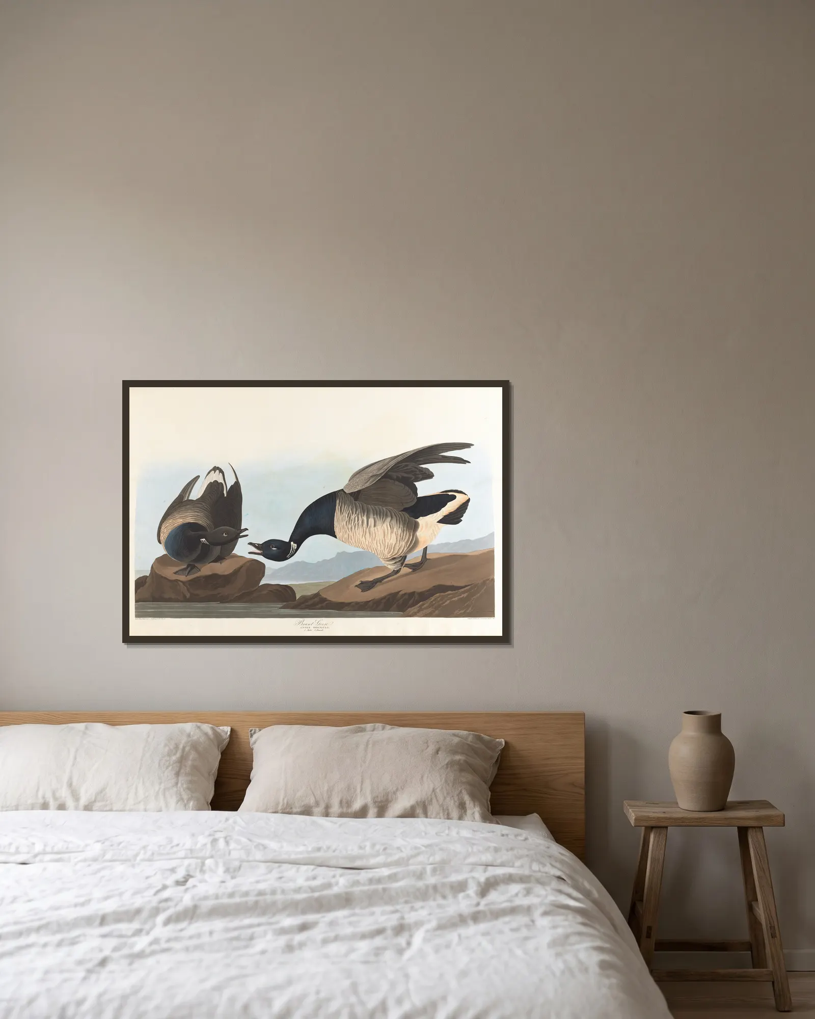 Brant goose av John James Audubon inramad på en vägg