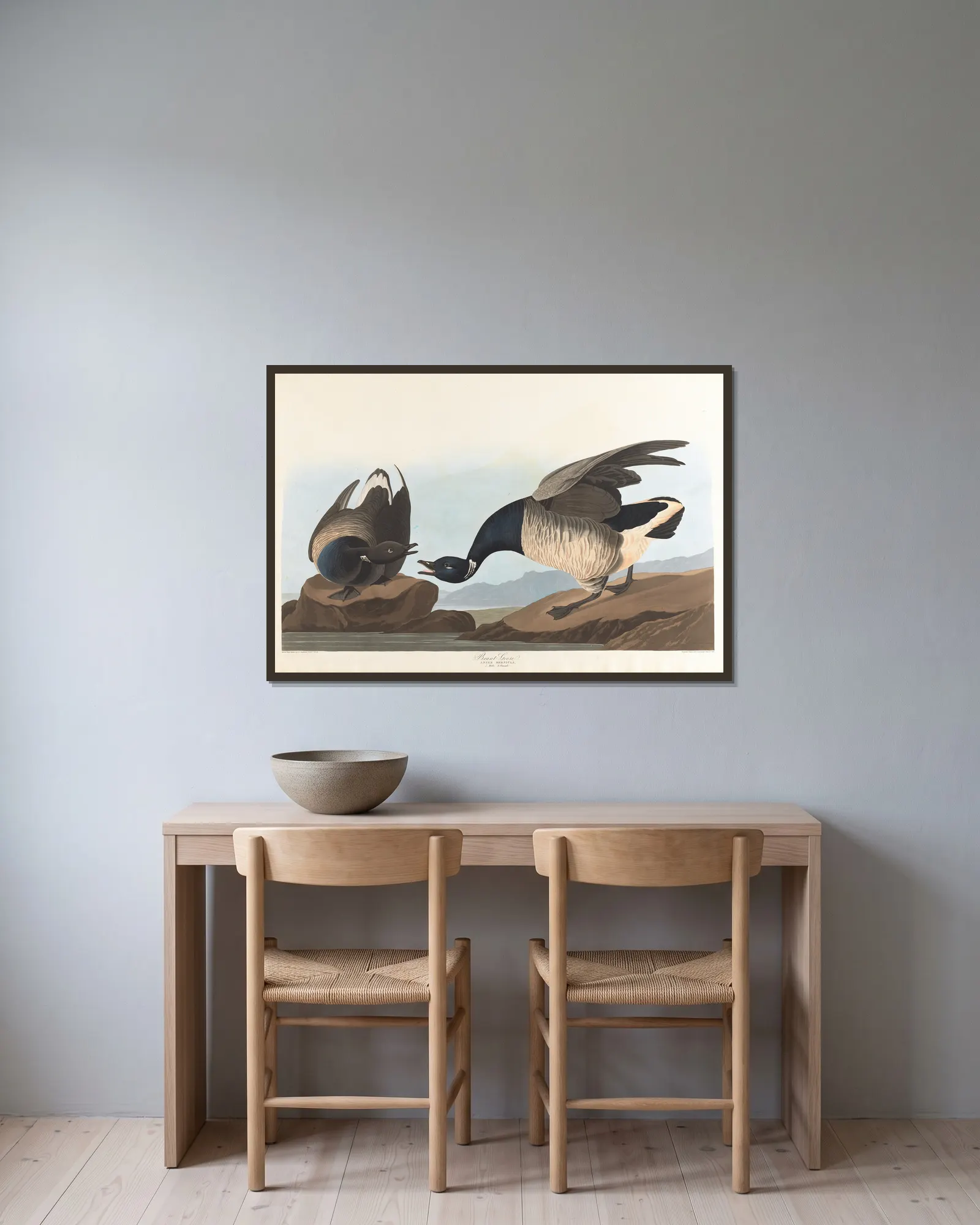 Brant goose av John James Audubon inramad på en vägg