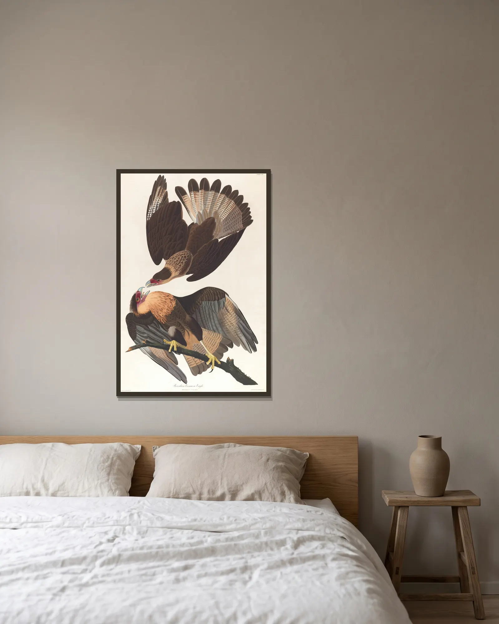 Brasilian caracara eagle av John James Audubon inramad på en vägg