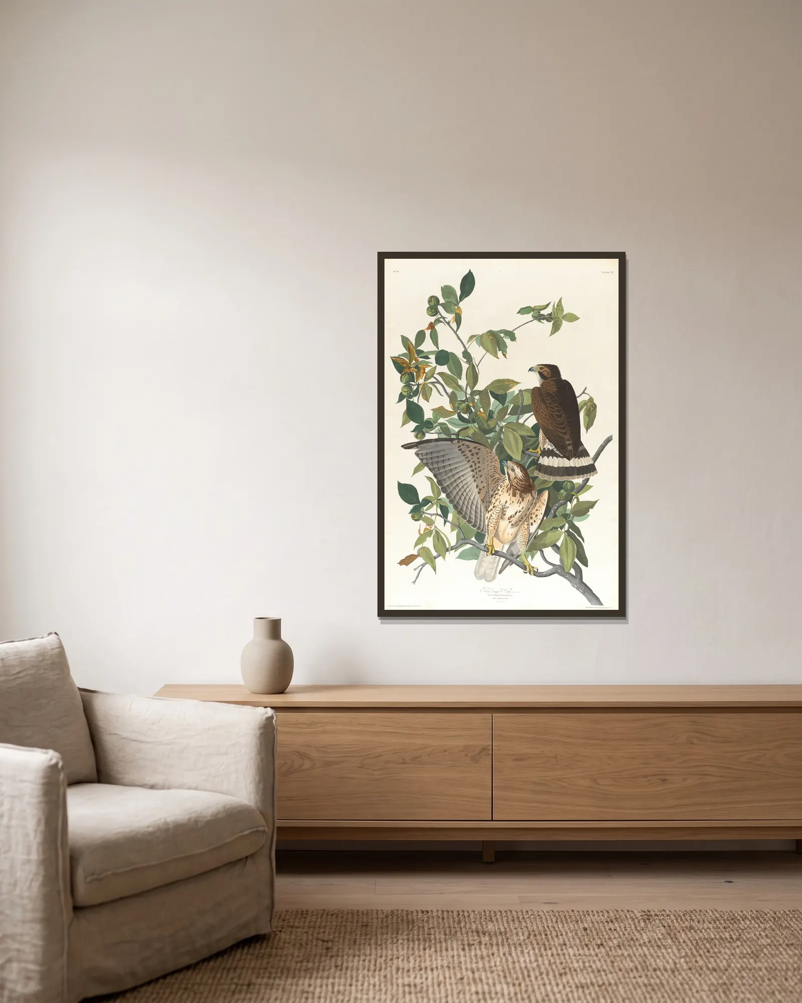 Broad-winged hawk av John James Audubon inramad på en vägg