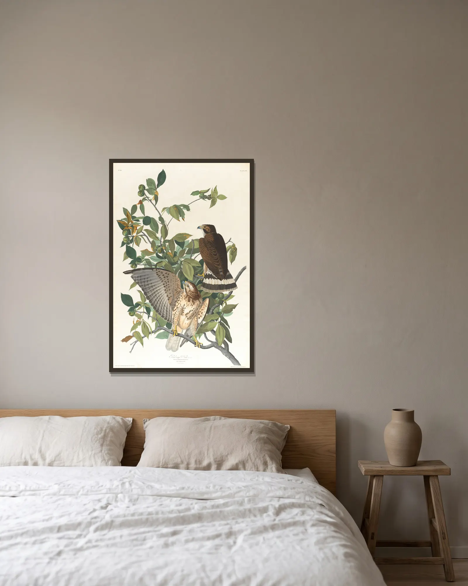 Broad-winged hawk av John James Audubon inramad på en vägg