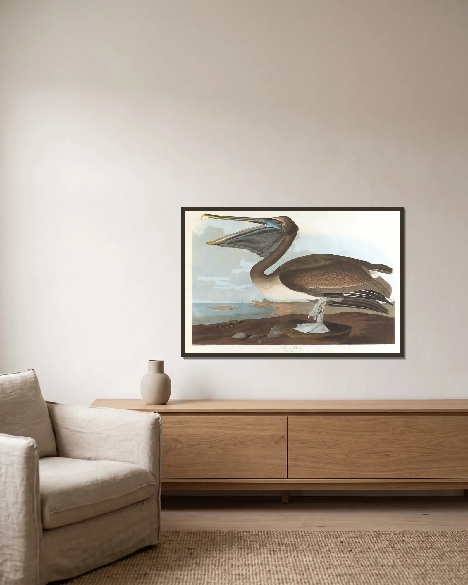 Brown pelican av John James Audubon inramad på en vägg