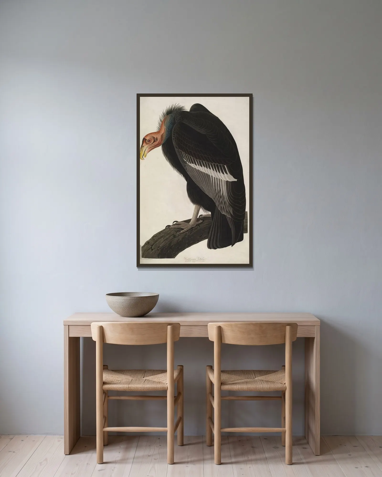 California Vulture av John James Audubon inramad på en vägg