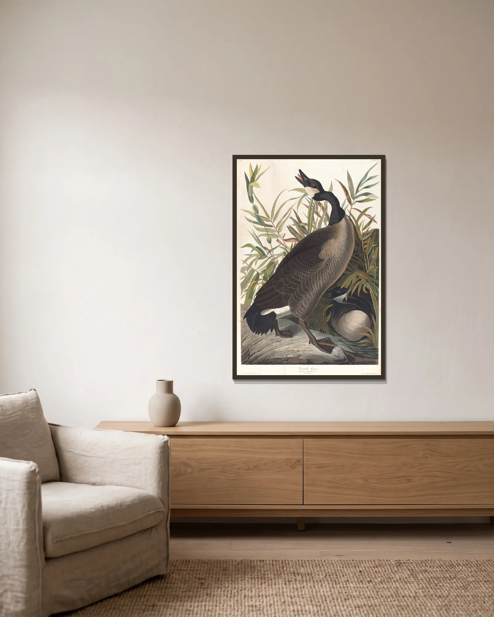 Canada goose av John James Audubon inramad på en vägg