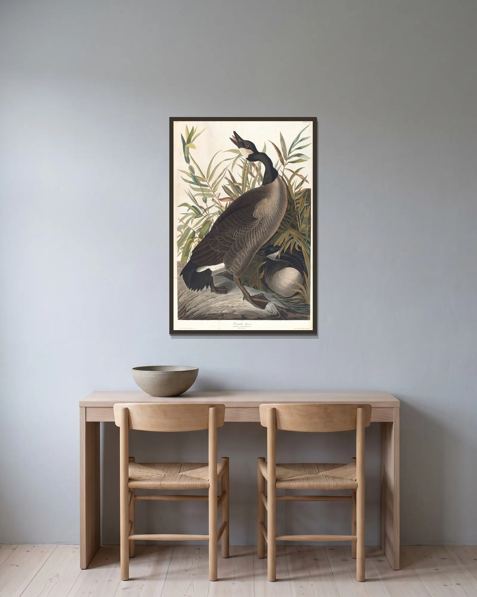 Canada goose av John James Audubon inramad på en vägg