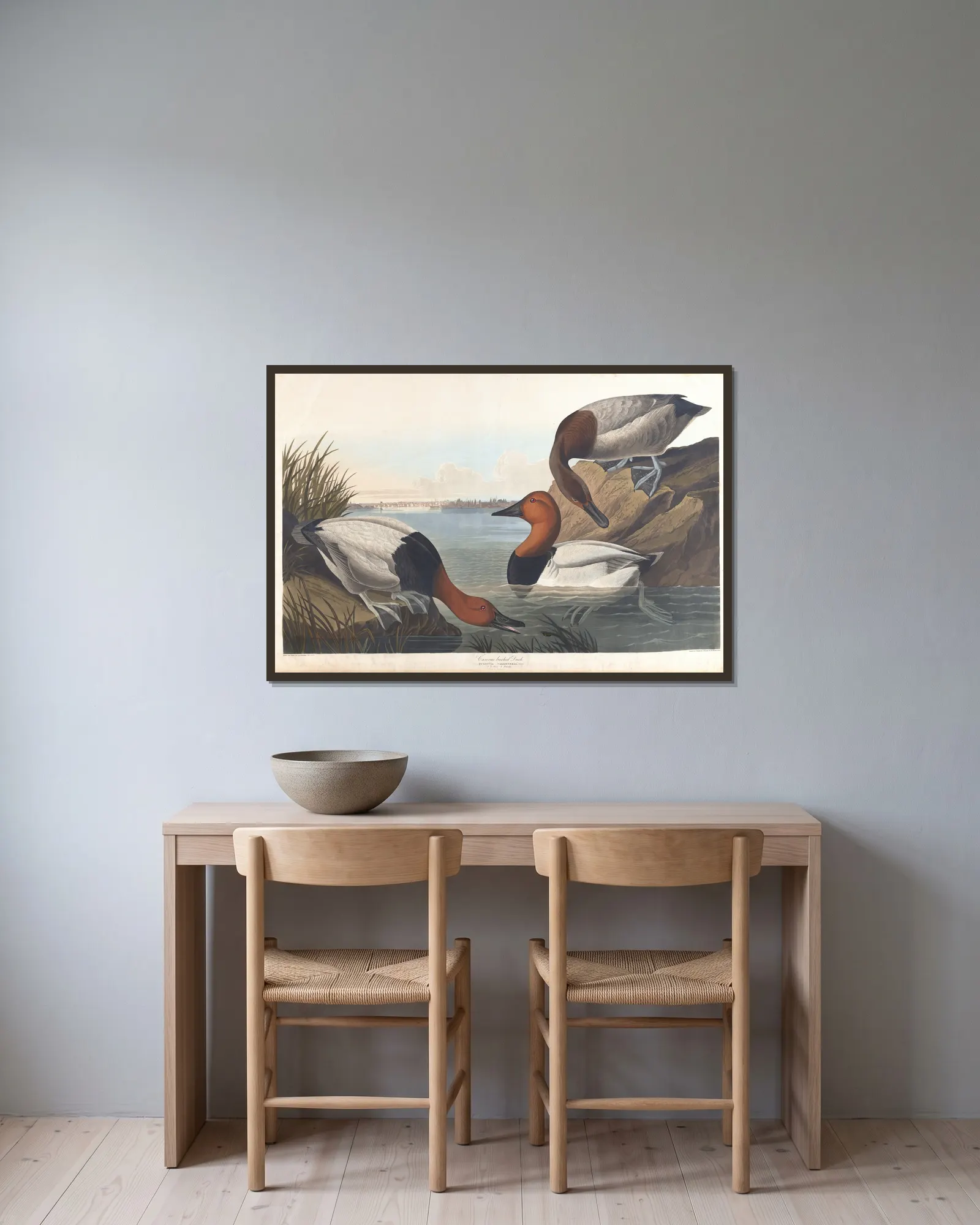 Canvas backed duck av John James Audubon inramad på en vägg