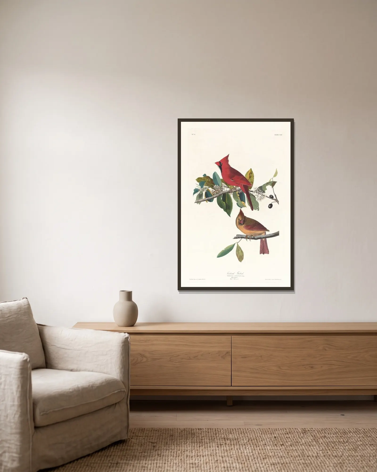 Cardinal grosbeak av John James Audubon inramad på en vägg