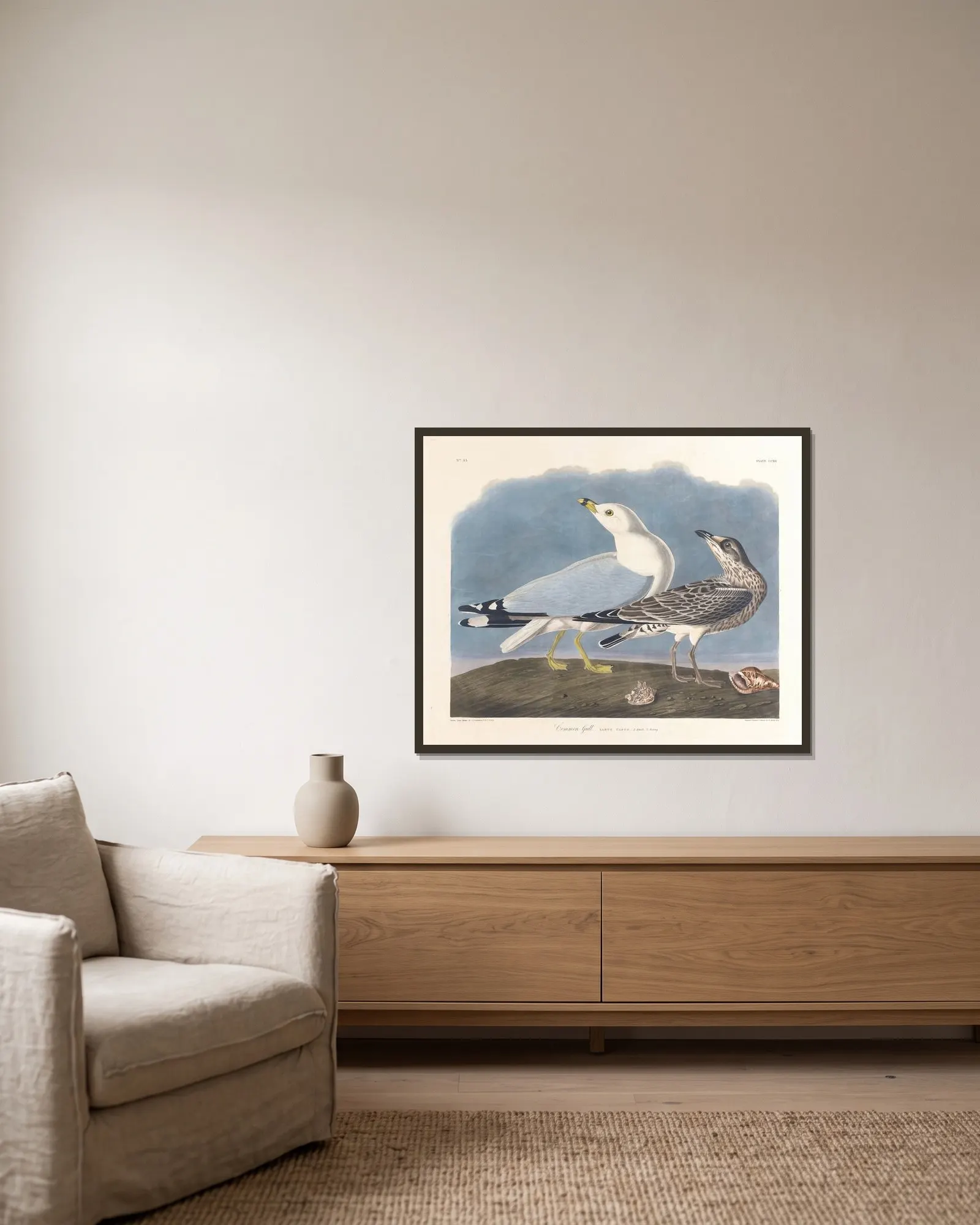 Common gull av John James Audubon inramad på en vägg