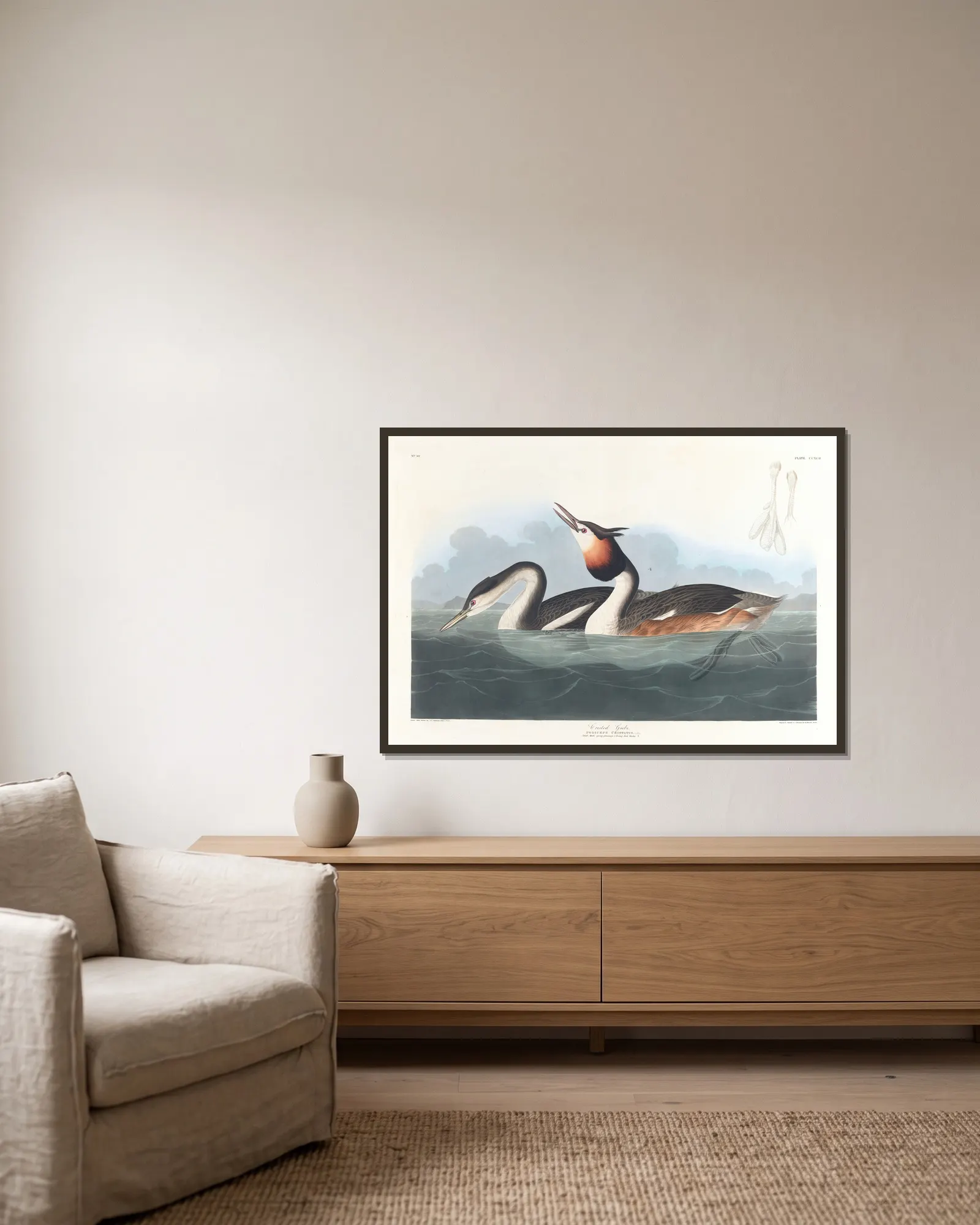 Crested grebe av John James Audubon inramad på en vägg