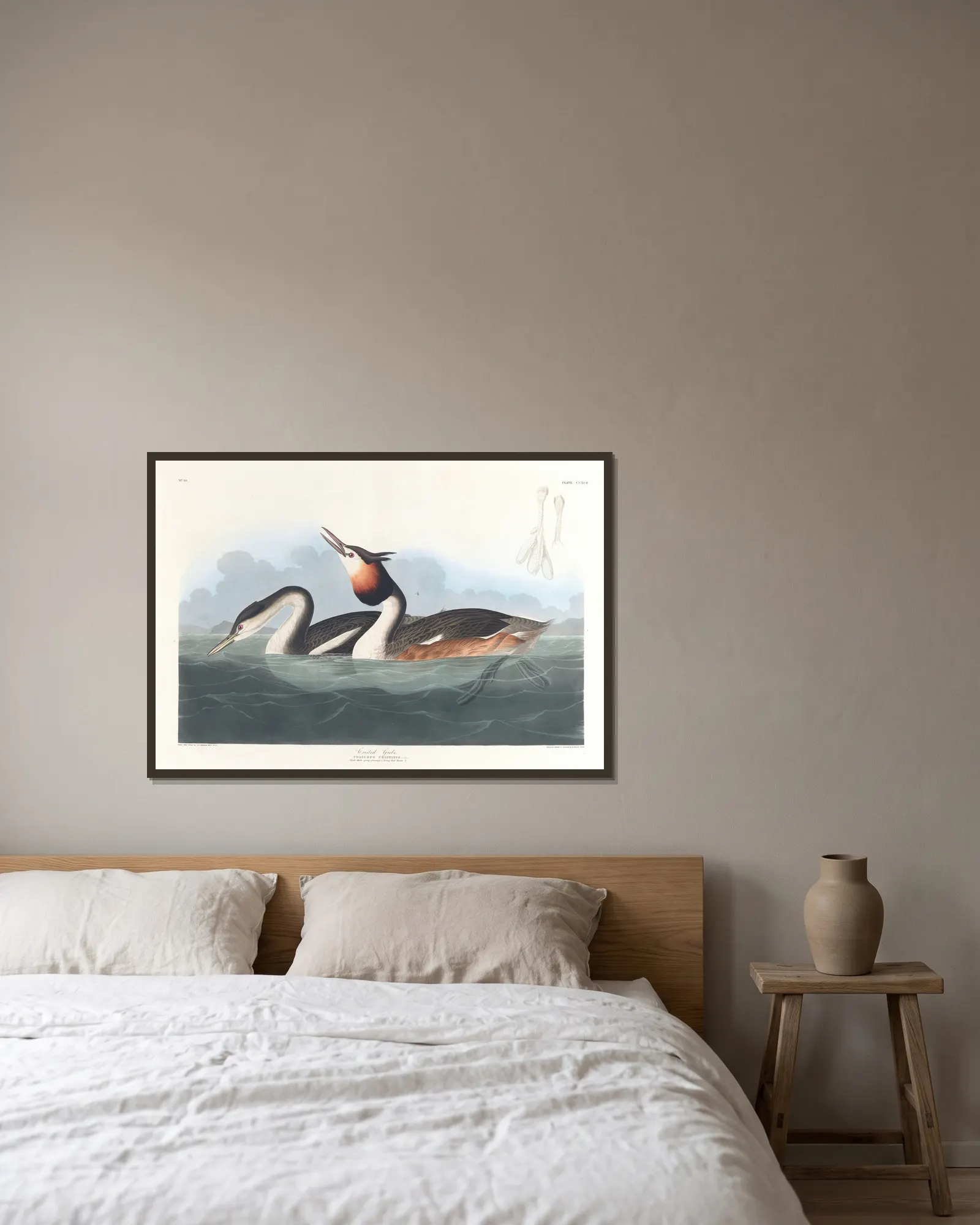 Crested grebe av John James Audubon inramad på en vägg
