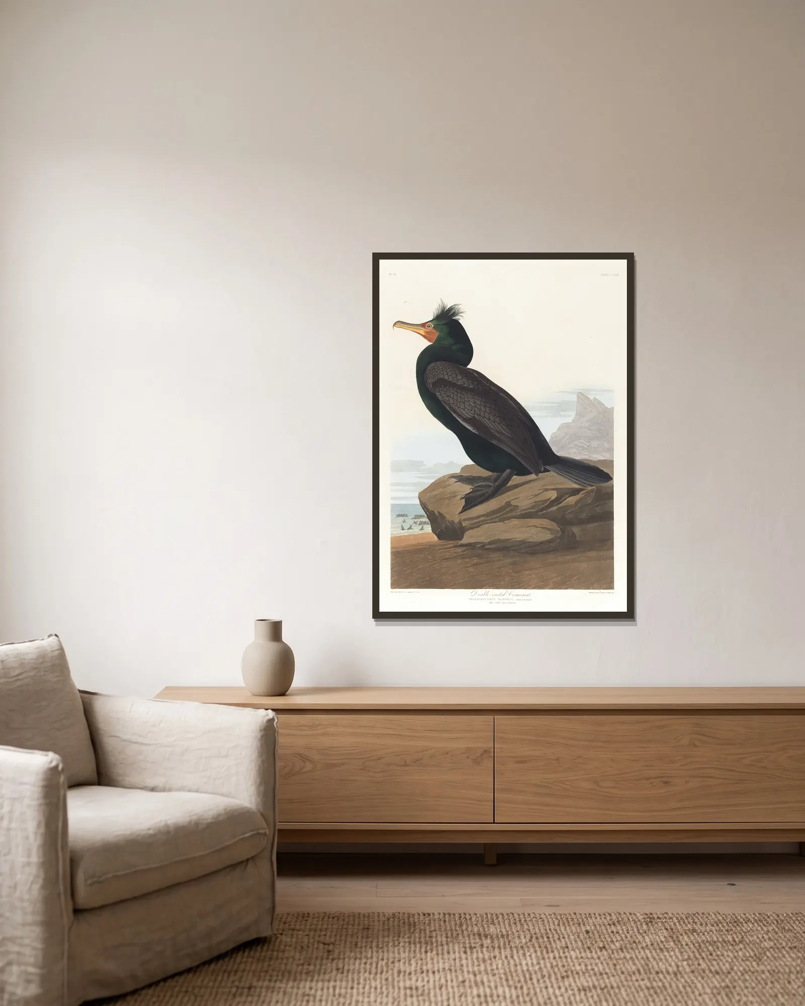 Double-crested cormorant av John James Audubon inramad på en vägg