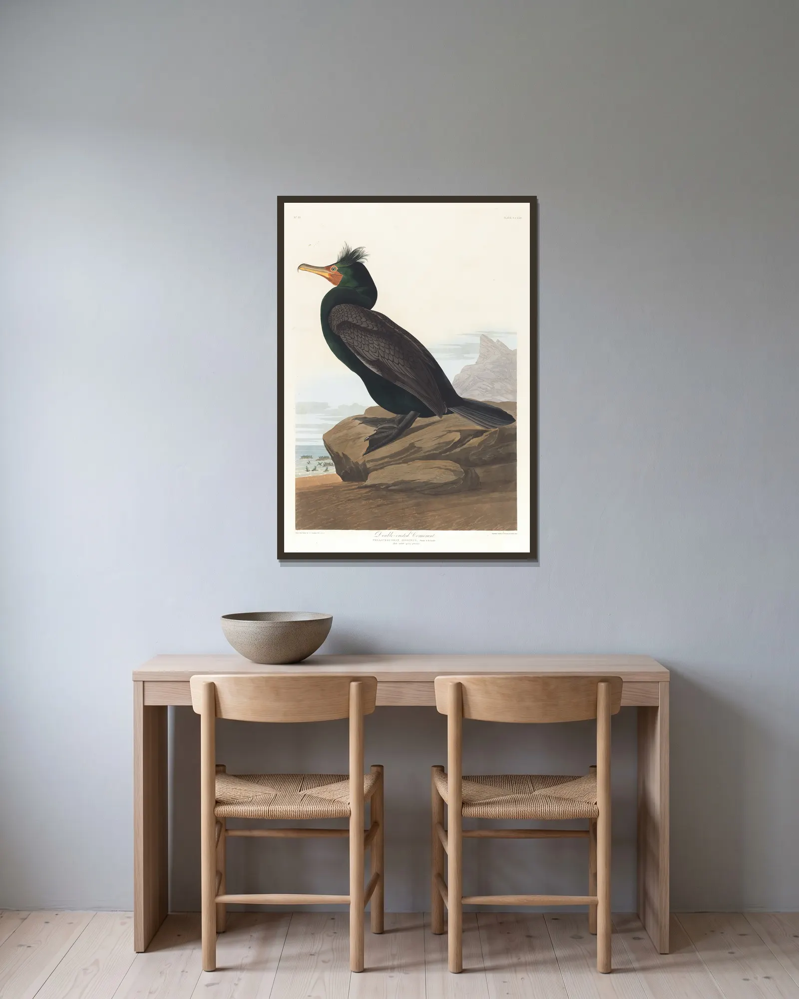 Double-crested cormorant av John James Audubon inramad på en vägg