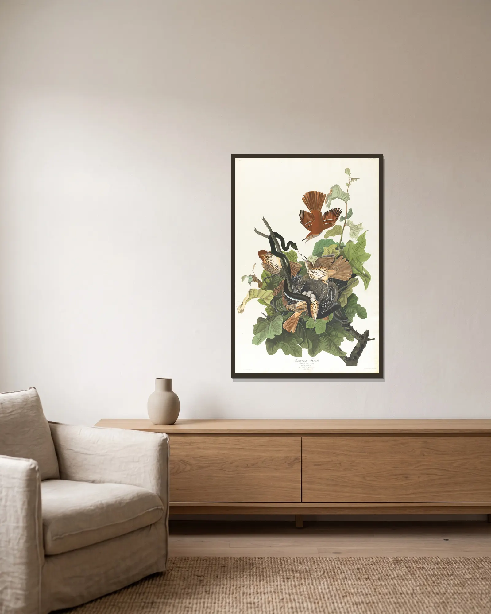 Ferruginous thrush av John James Audubon inramad på en vägg