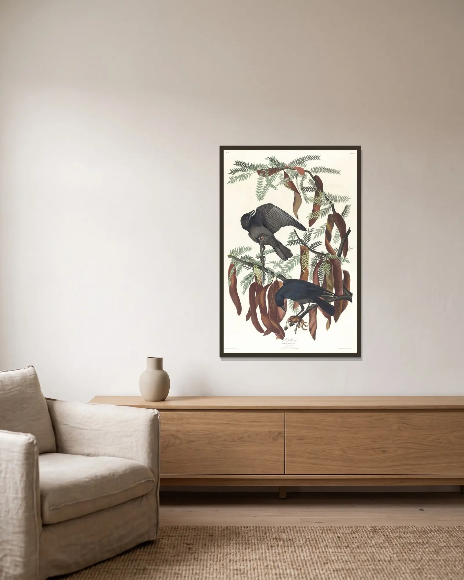 Fish crow av John James Audubon inramad på en vägg