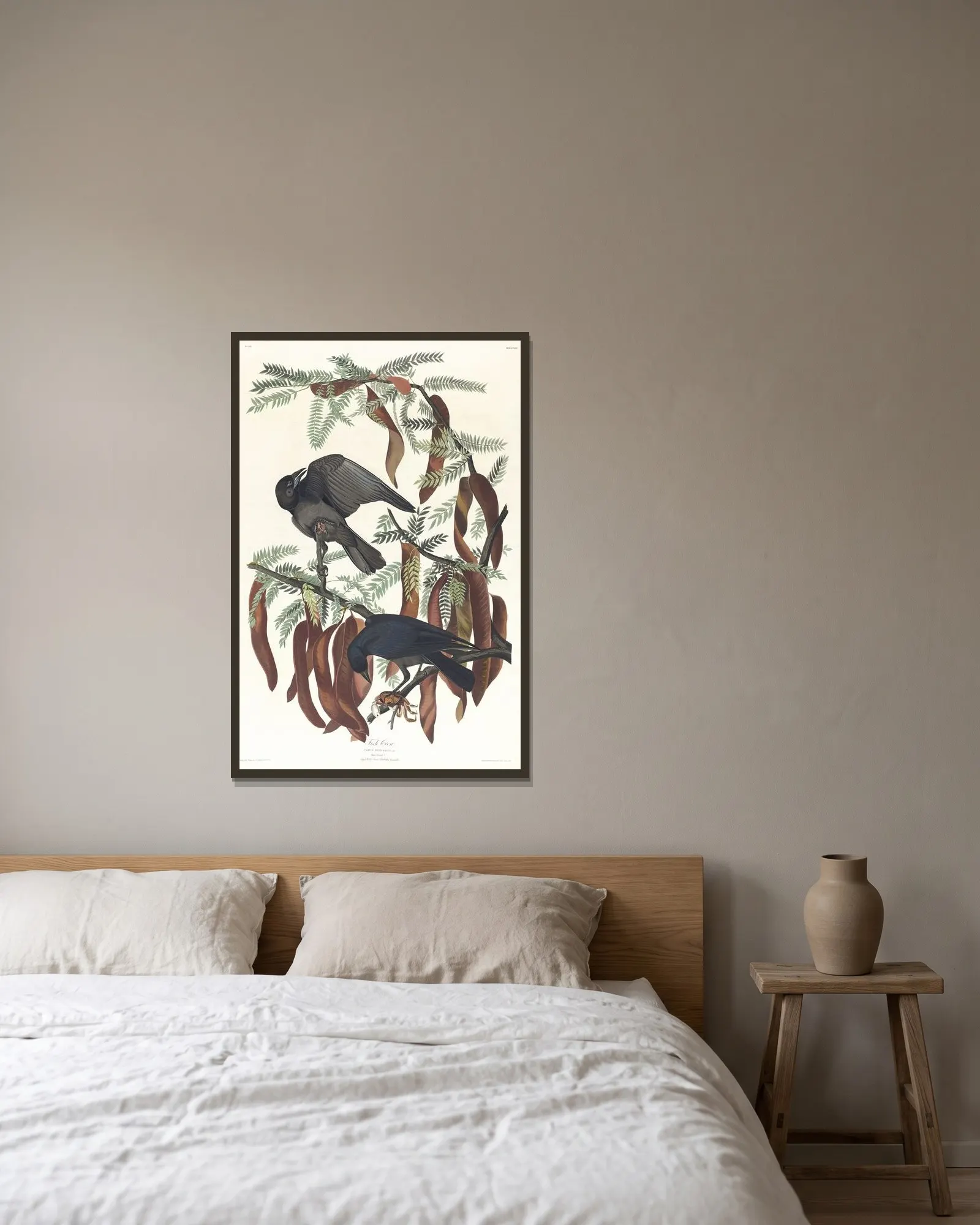 Fish crow av John James Audubon inramad på en vägg