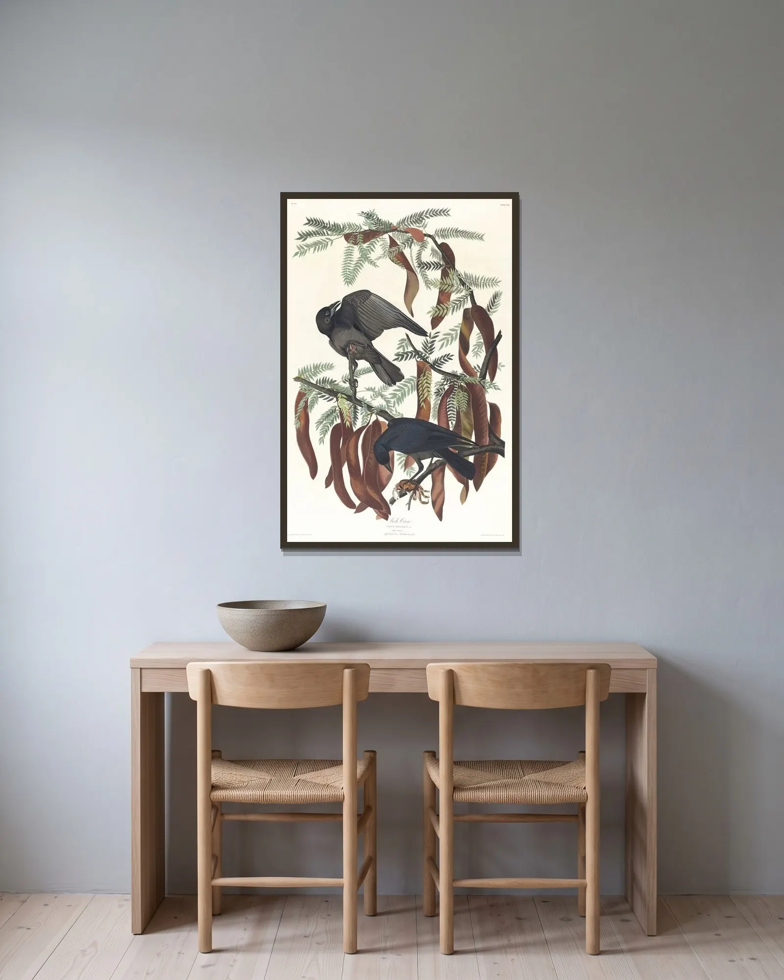 Fish crow av John James Audubon inramad på en vägg