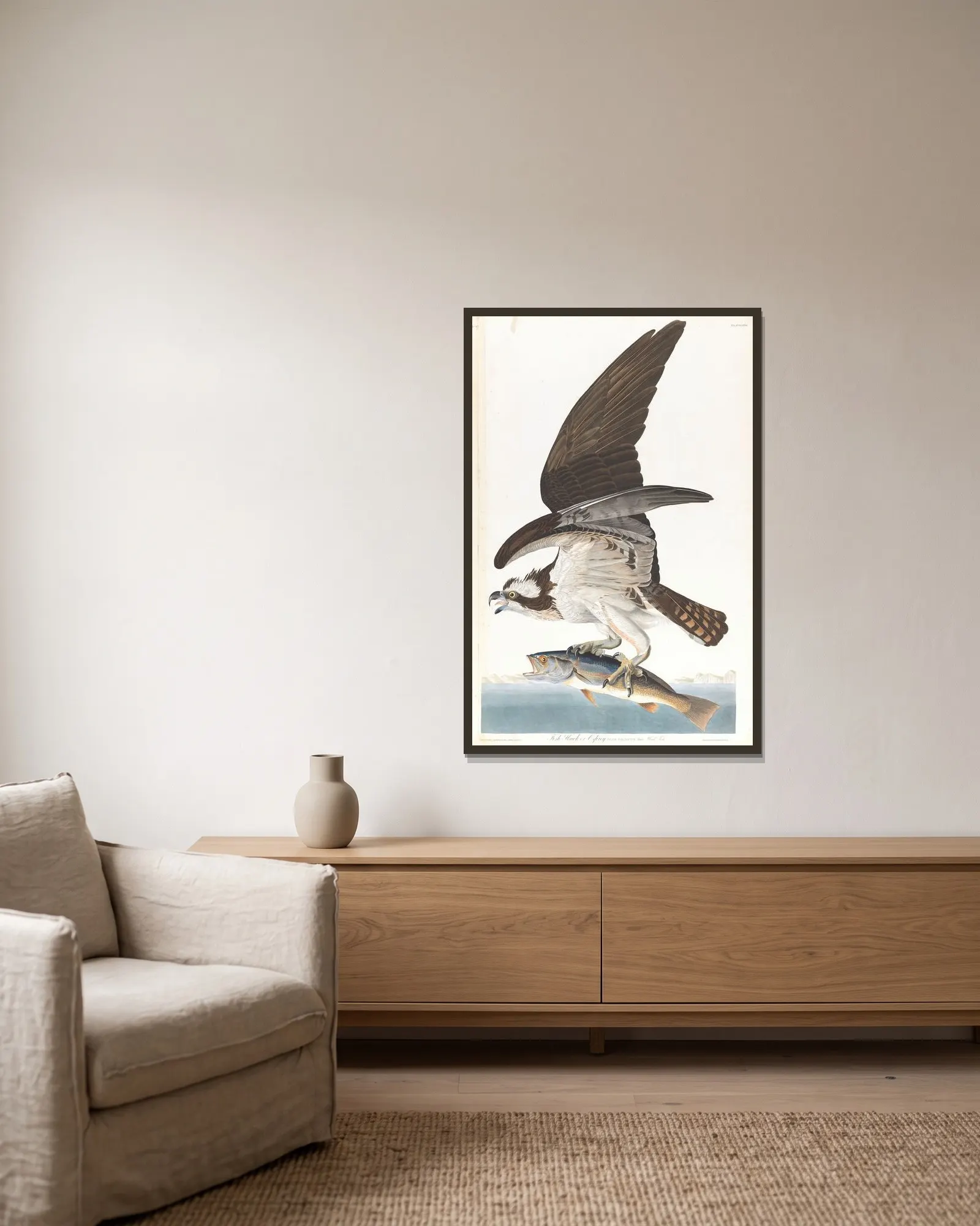 Fish hawk or osprey av John James Audubon inramad på en vägg