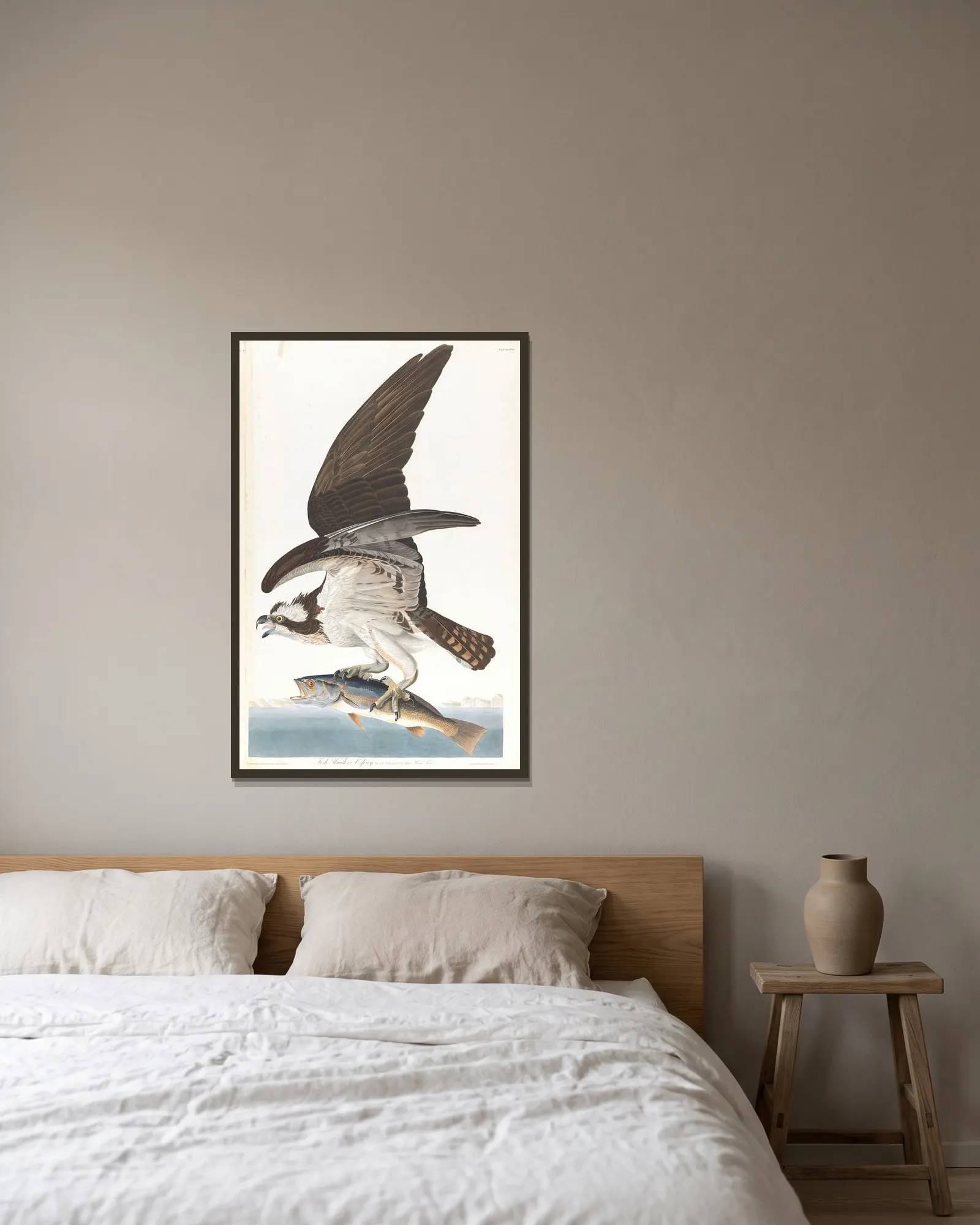 Fish hawk or osprey av John James Audubon inramad på en vägg