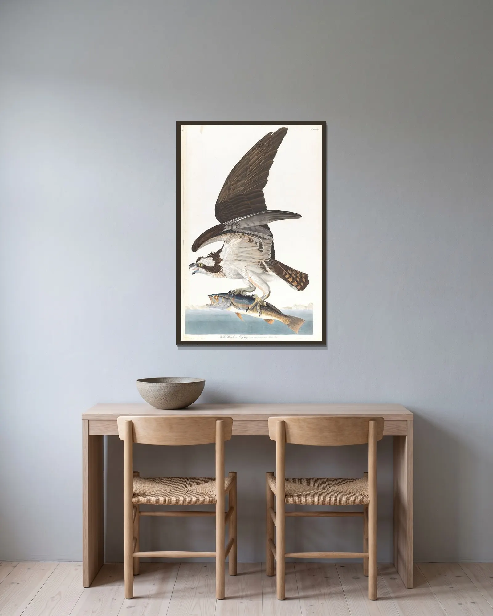 Fish hawk or osprey av John James Audubon inramad på en vägg