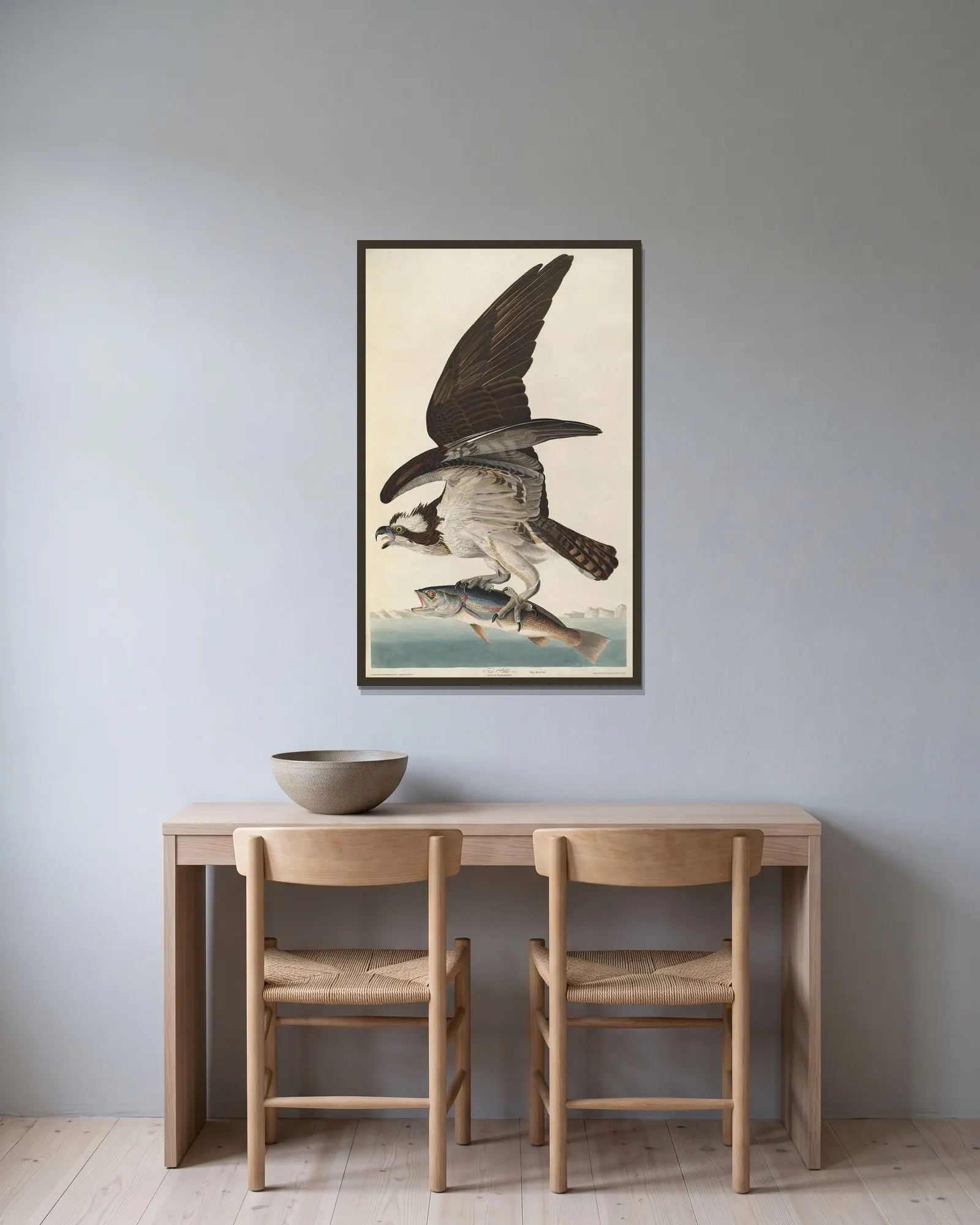 Fish Hawk av John James Audubon inramad på en vägg