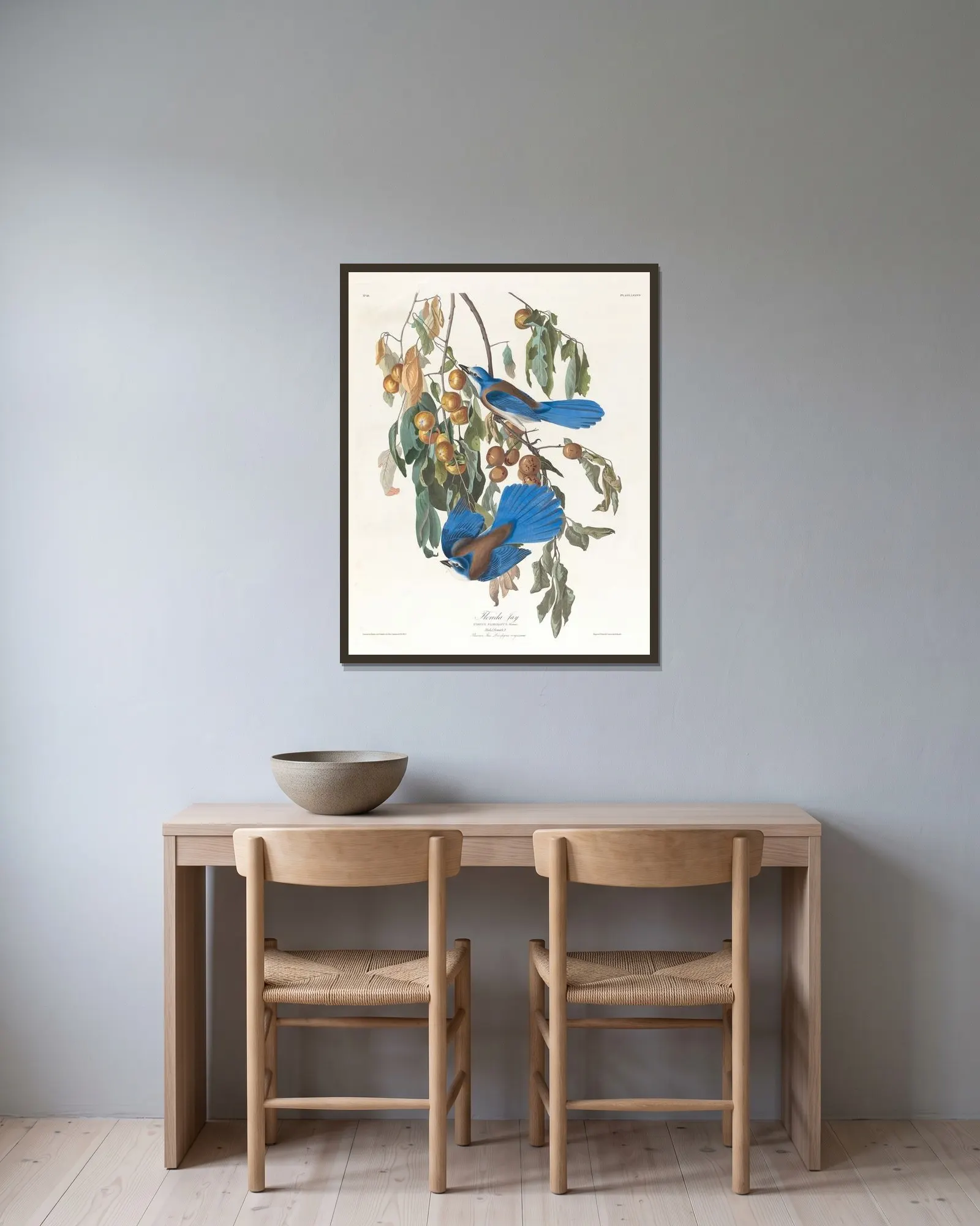 Florida jay av John James Audubon inramad på en vägg