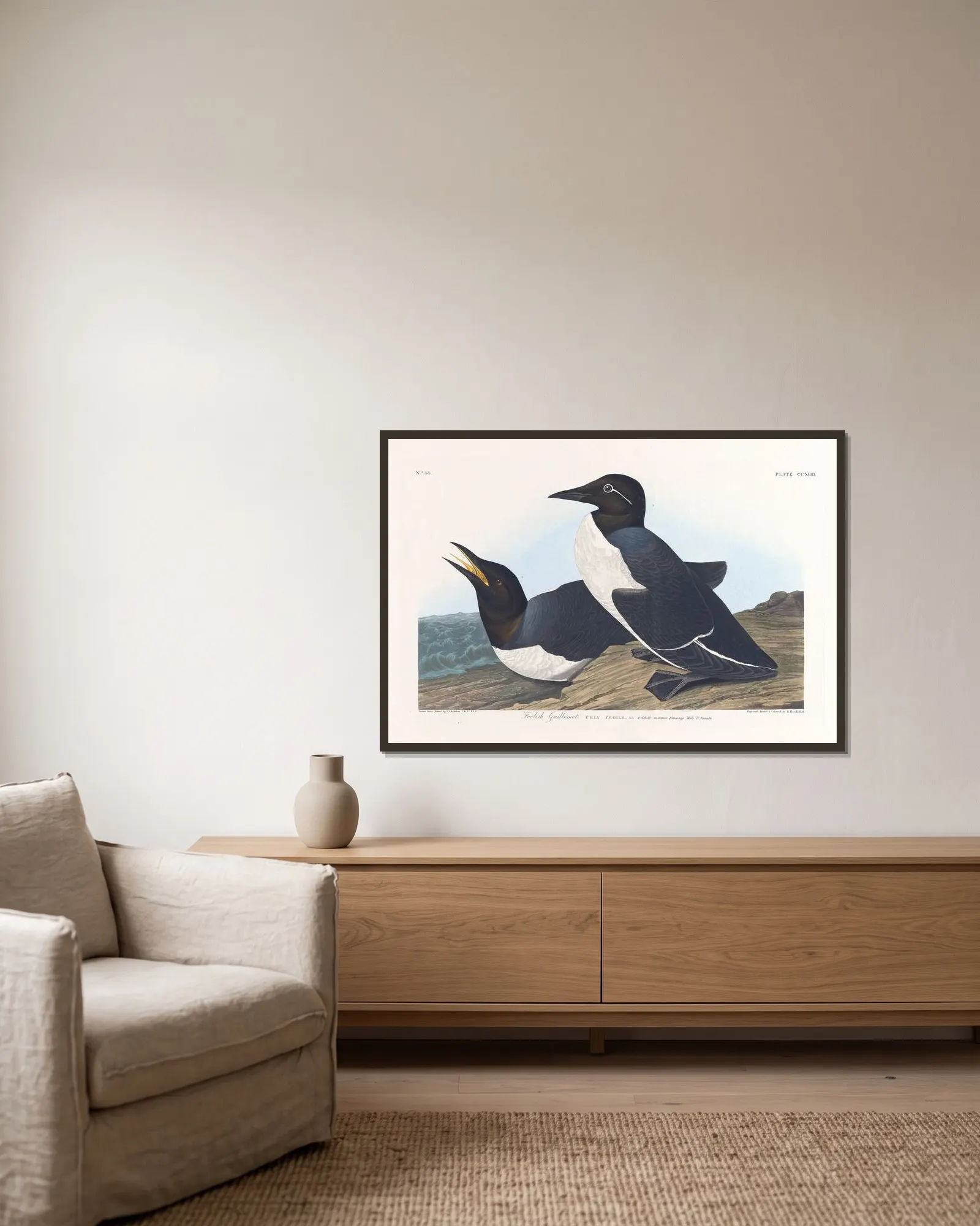 Foolish guillemot av John James Audubon inramad på en vägg