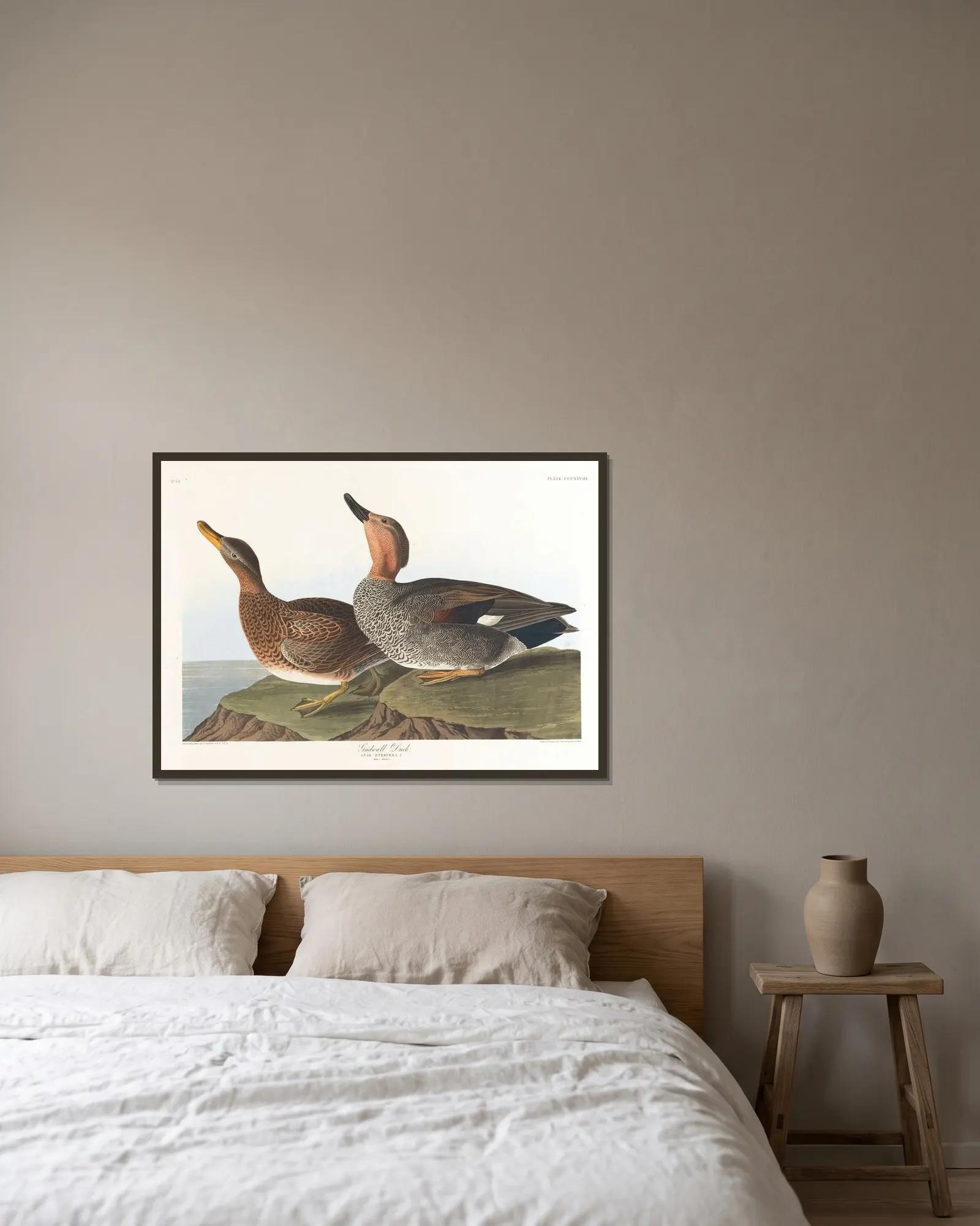Gadwall duck av John James Audubon inramad på en vägg