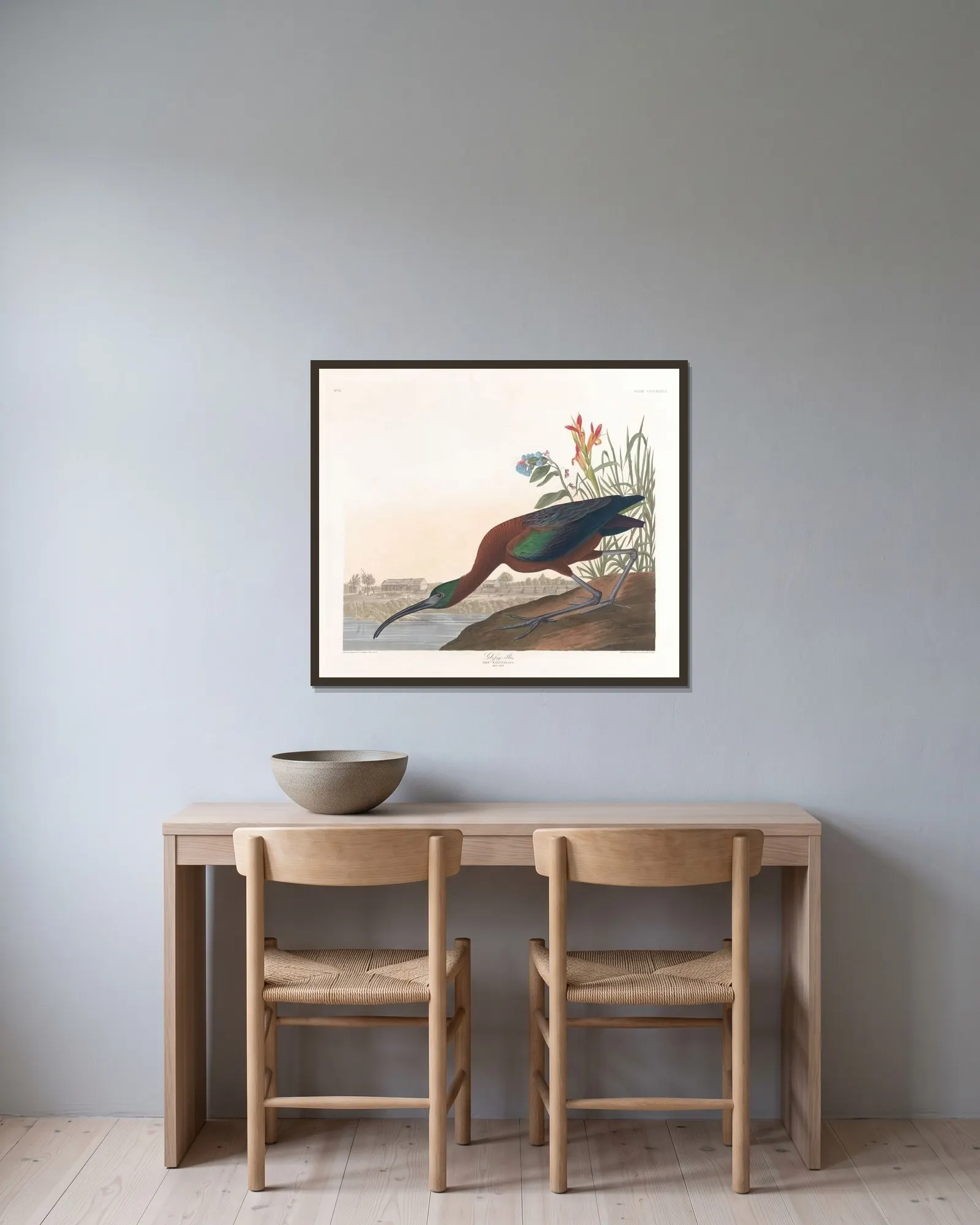 Glossy ibis av John James Audubon inramad på en vägg