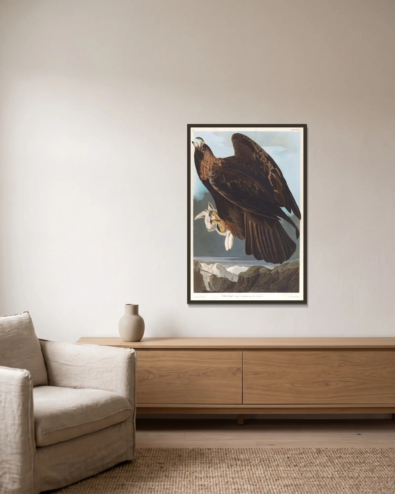 Golden eagle av John James Audubon inramad på en vägg