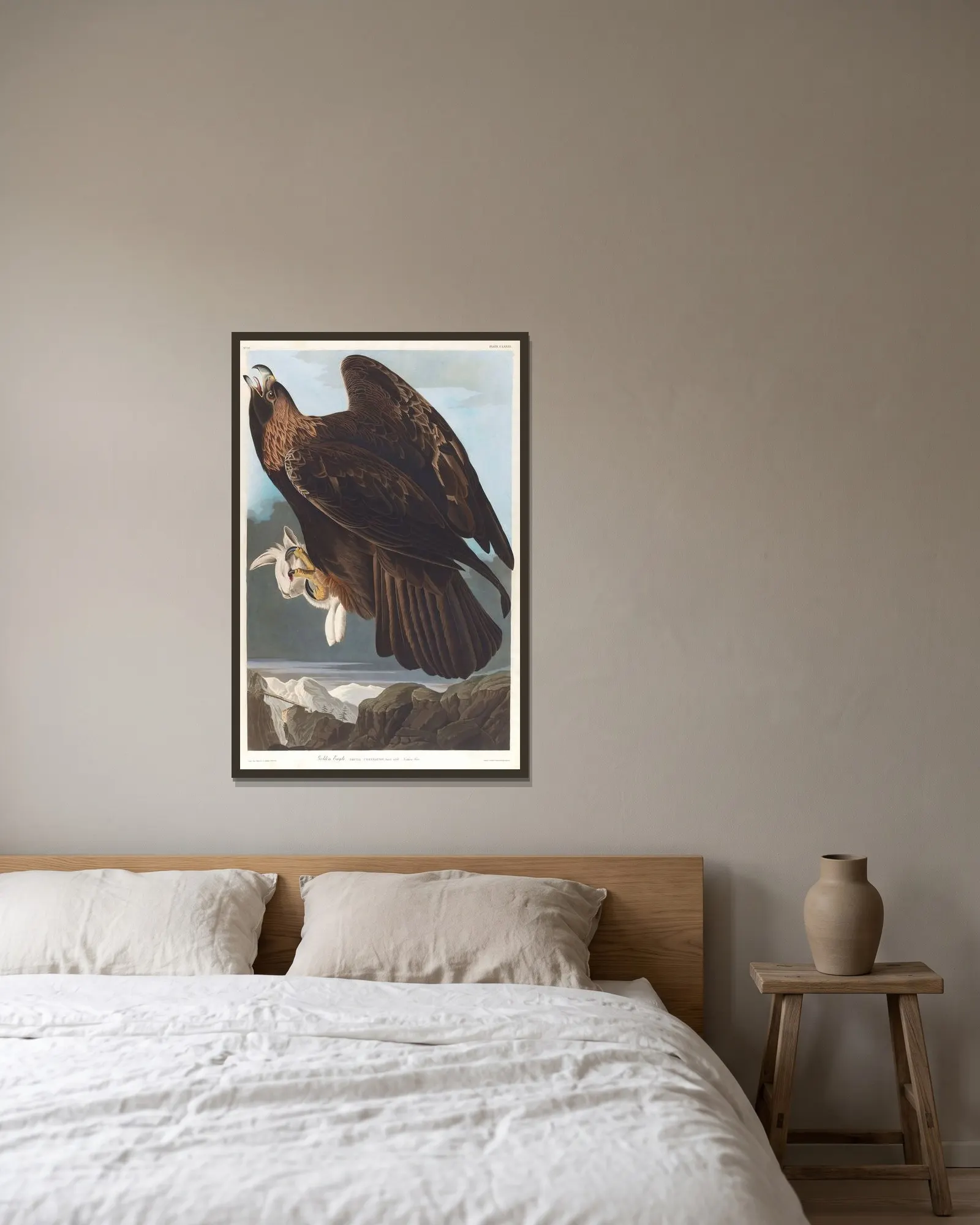 Golden eagle av John James Audubon inramad på en vägg