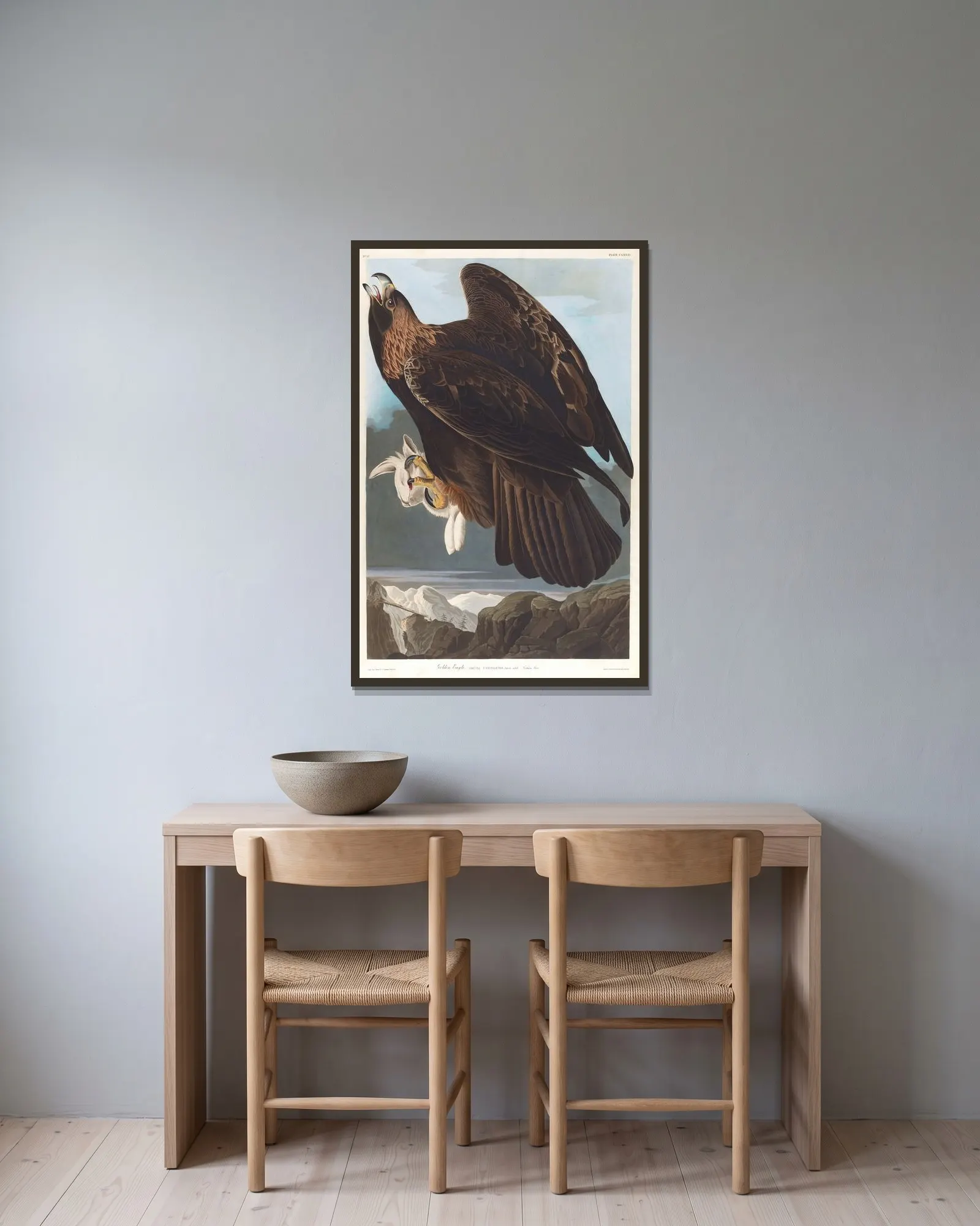 Golden eagle av John James Audubon inramad på en vägg