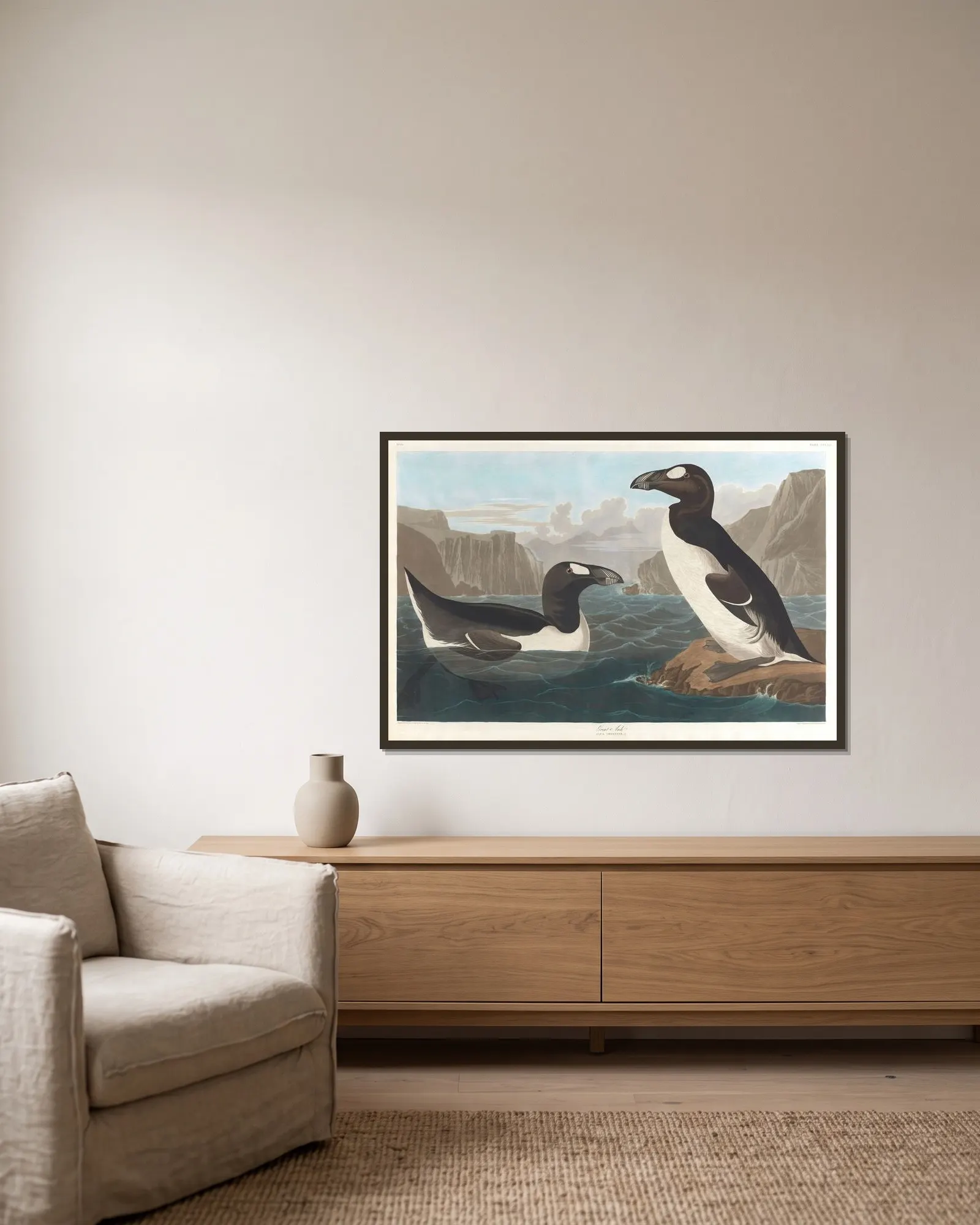 Great auk av John James Audubon inramad på en vägg