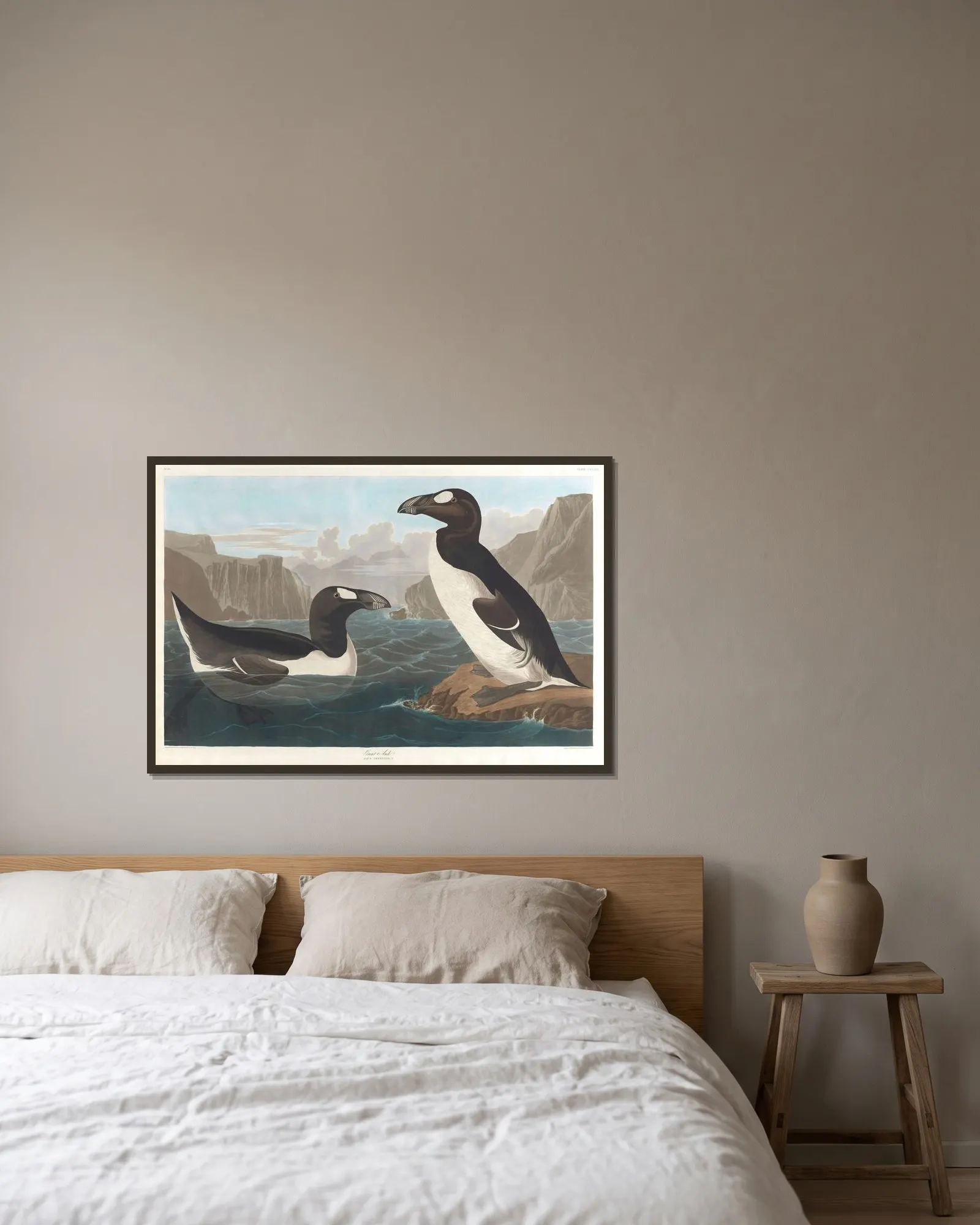 Great auk av John James Audubon inramad på en vägg