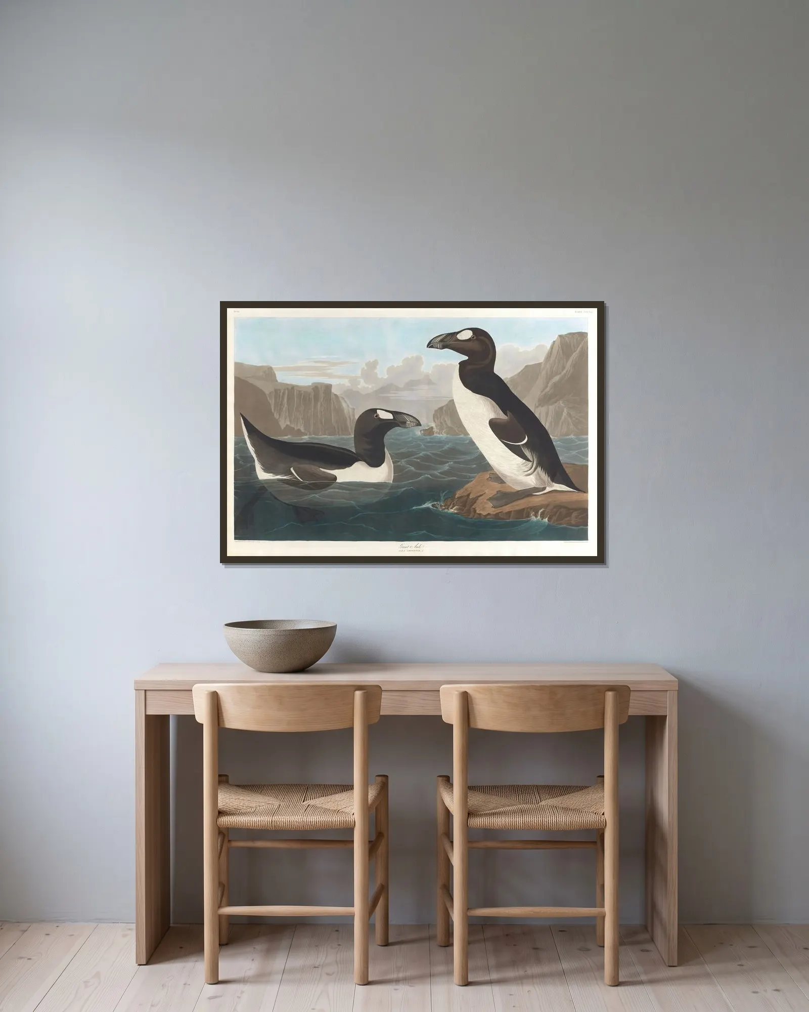 Great auk av John James Audubon inramad på en vägg