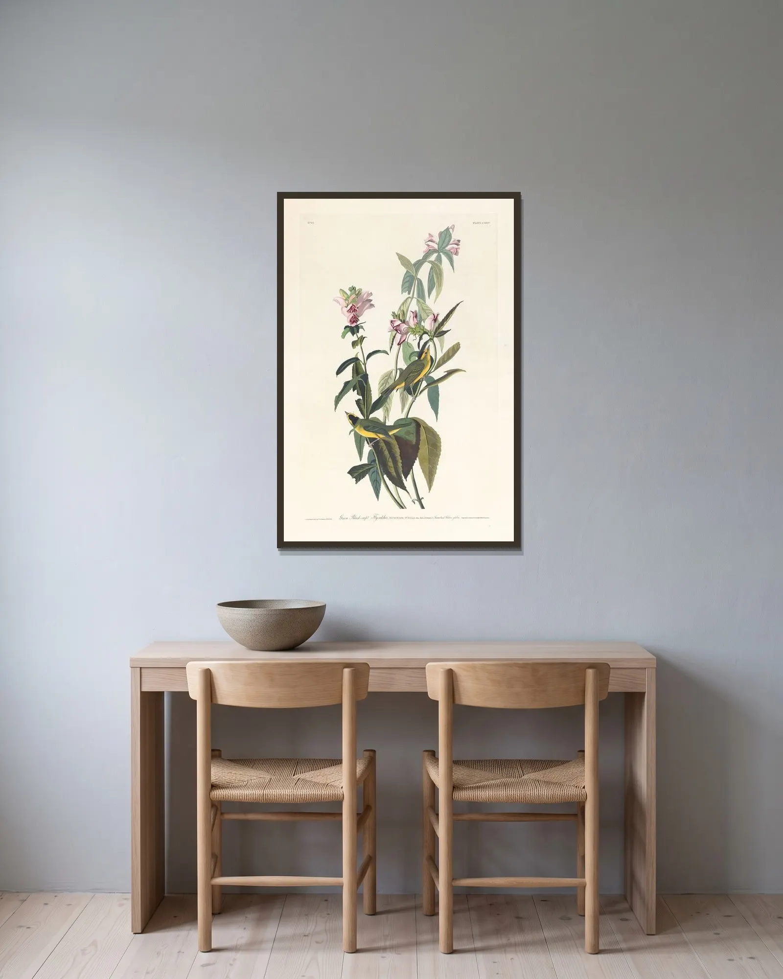 Green black-capt flycatcher av John James Audubon inramad på en vägg