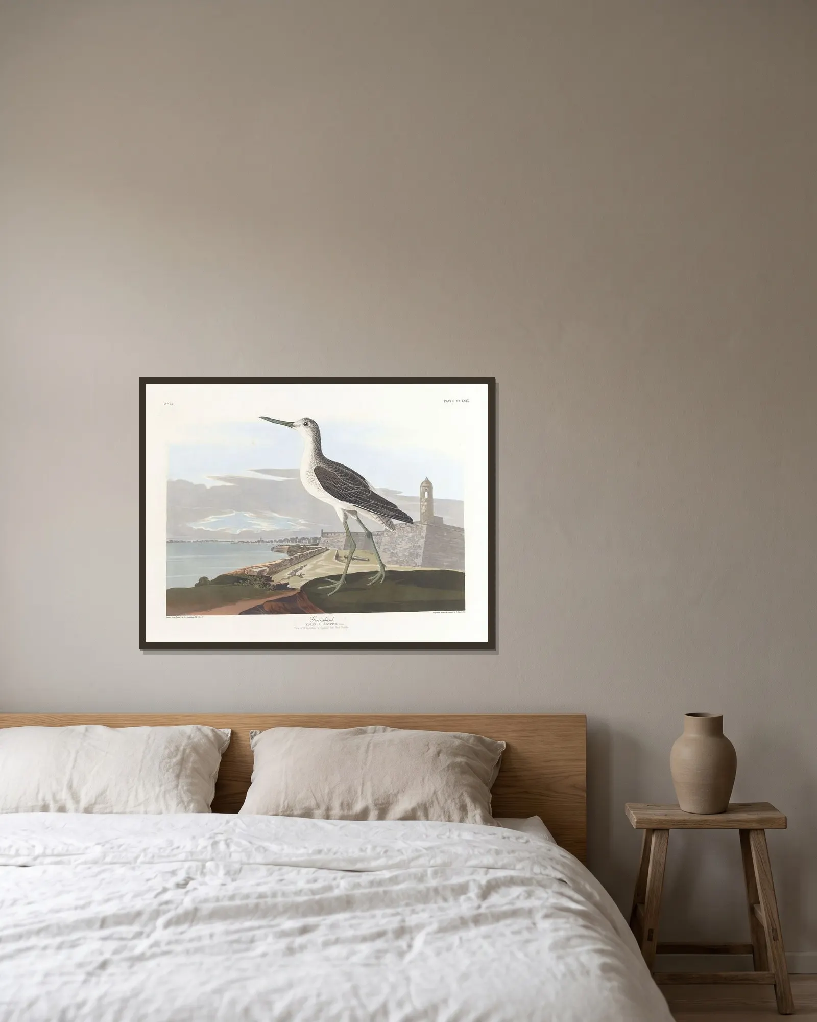 Greenshank av John James Audubon inramad på en vägg