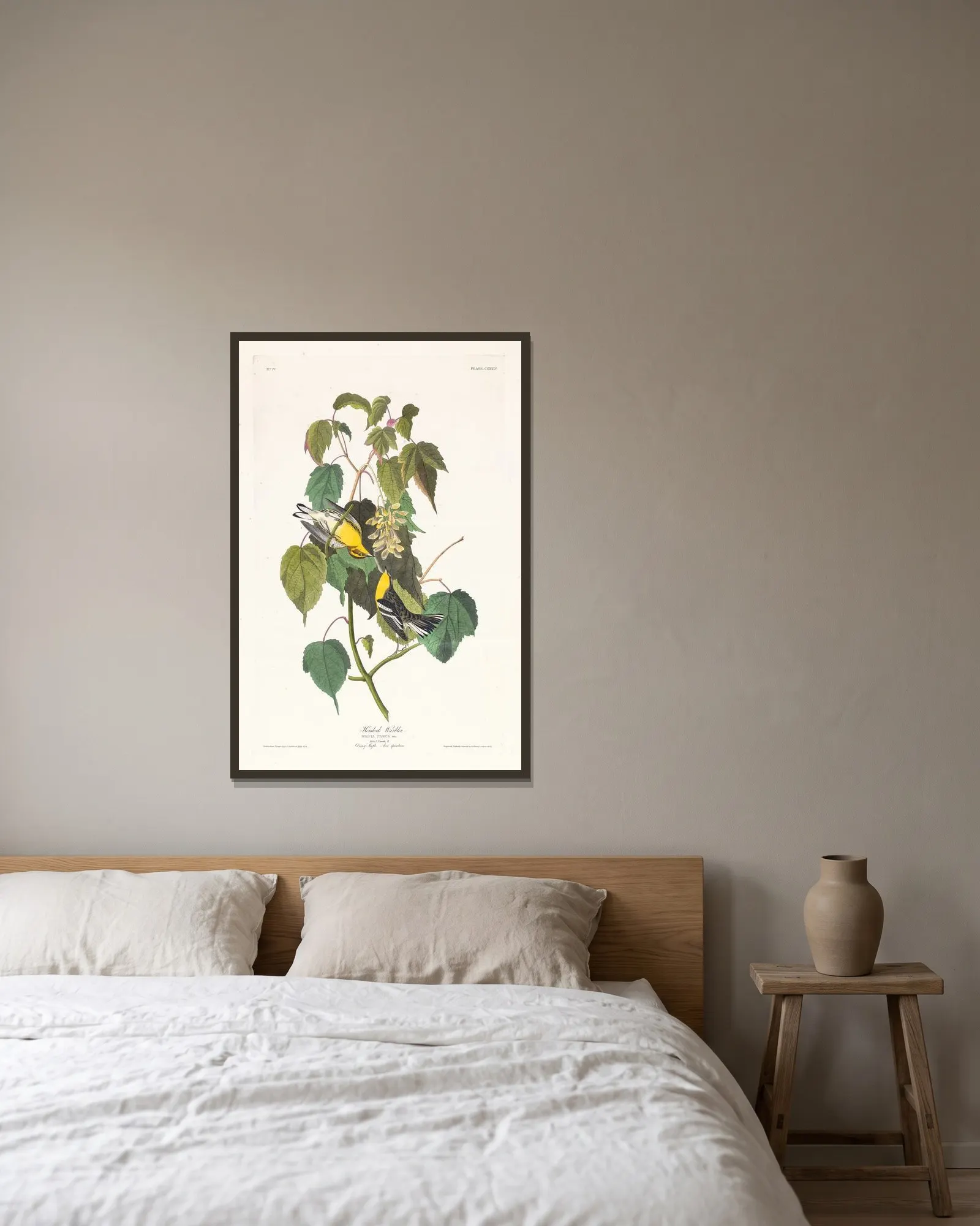 Hemlock warbler av John James Audubon inramad på en vägg