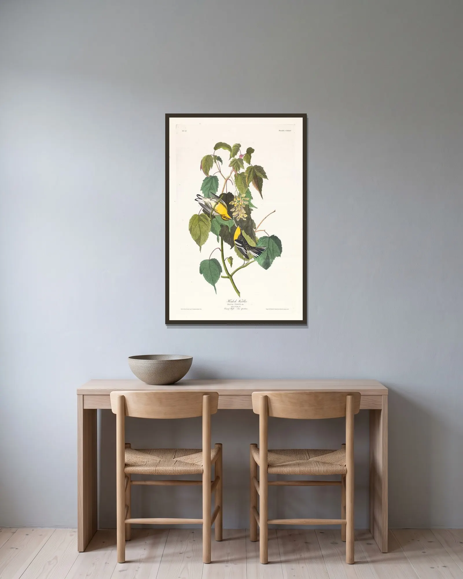 Hemlock warbler av John James Audubon inramad på en vägg