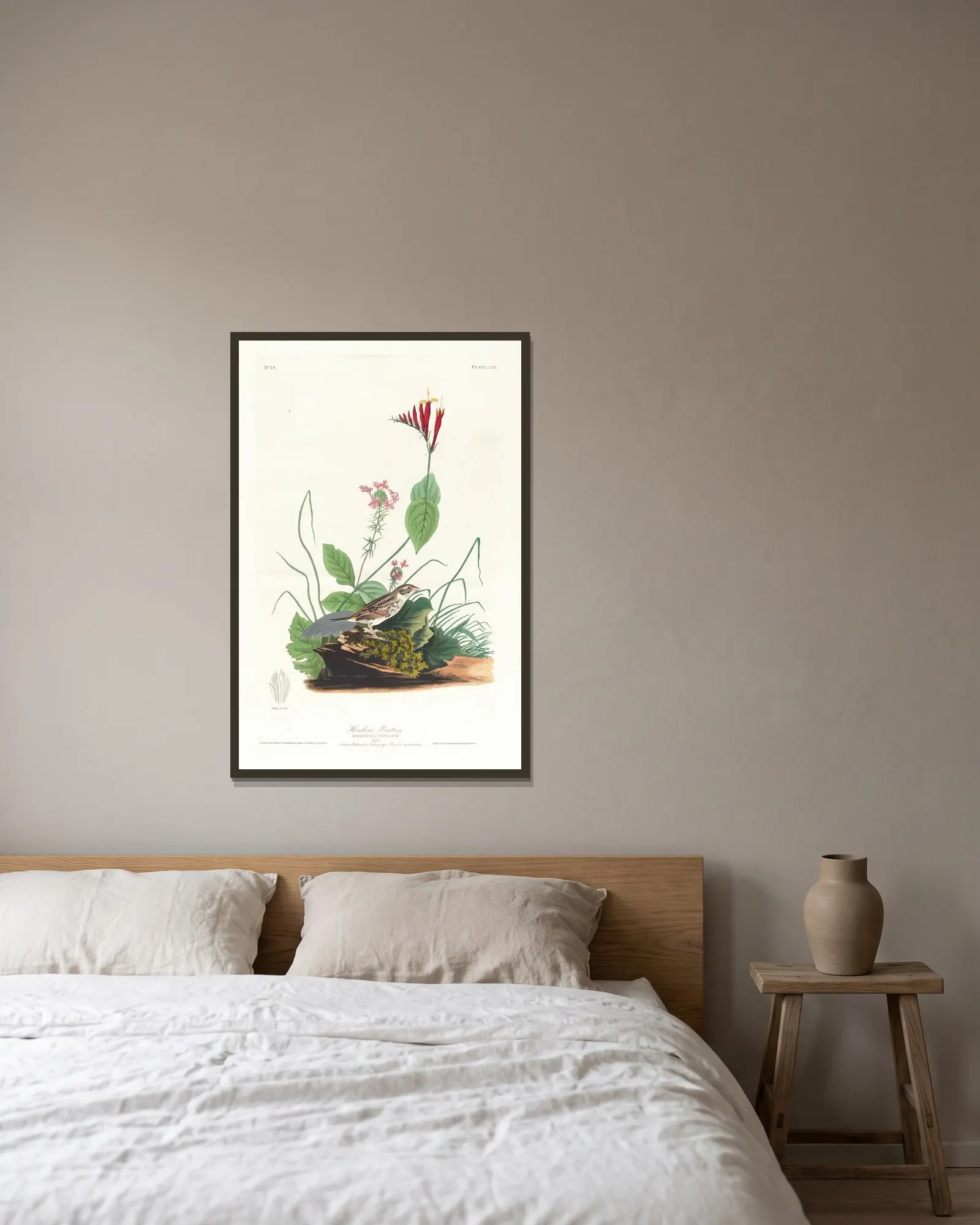 Henslow’s bunting av John James Audubon inramad på en vägg