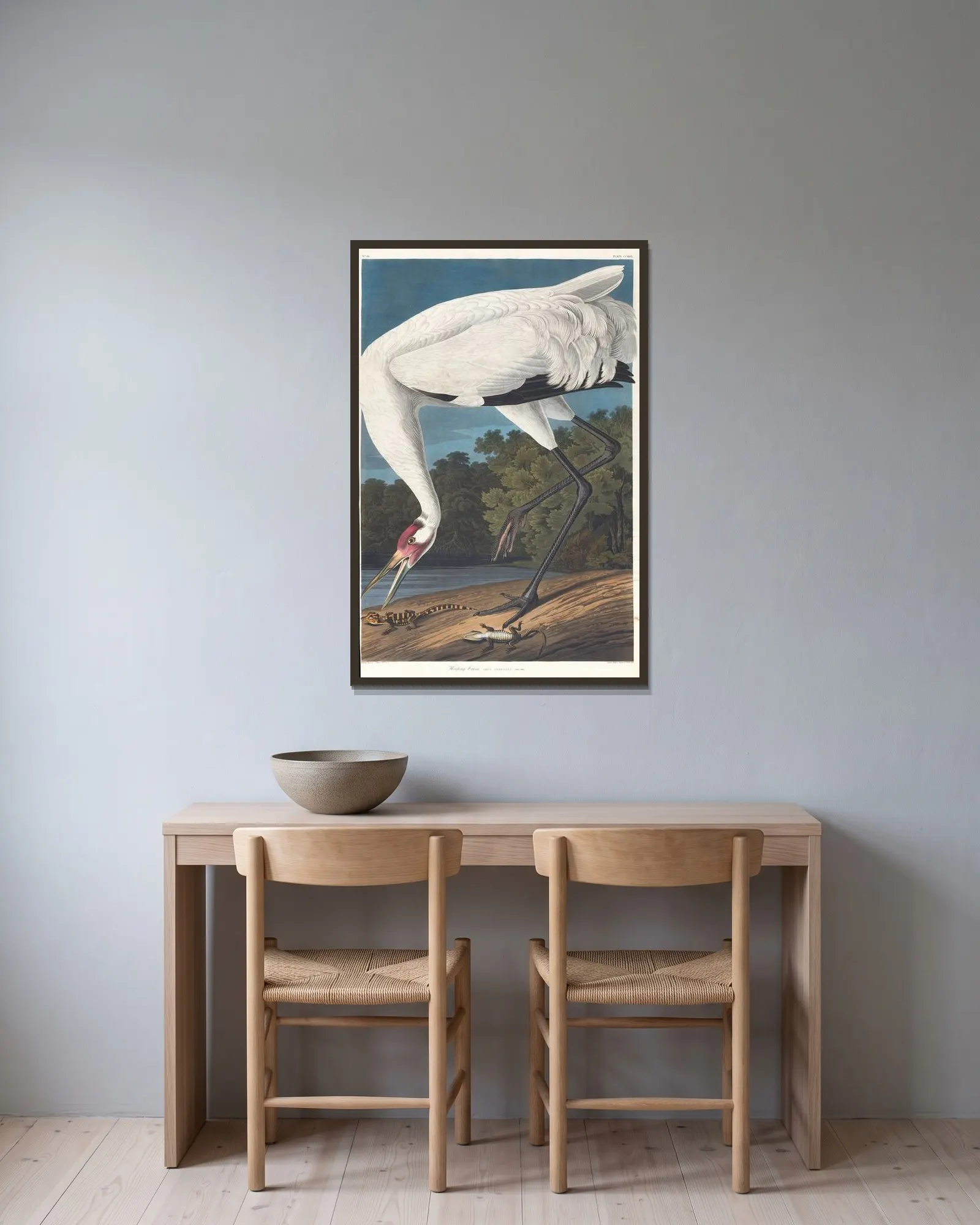 Hooping crane av John James Audubon inramad på en vägg