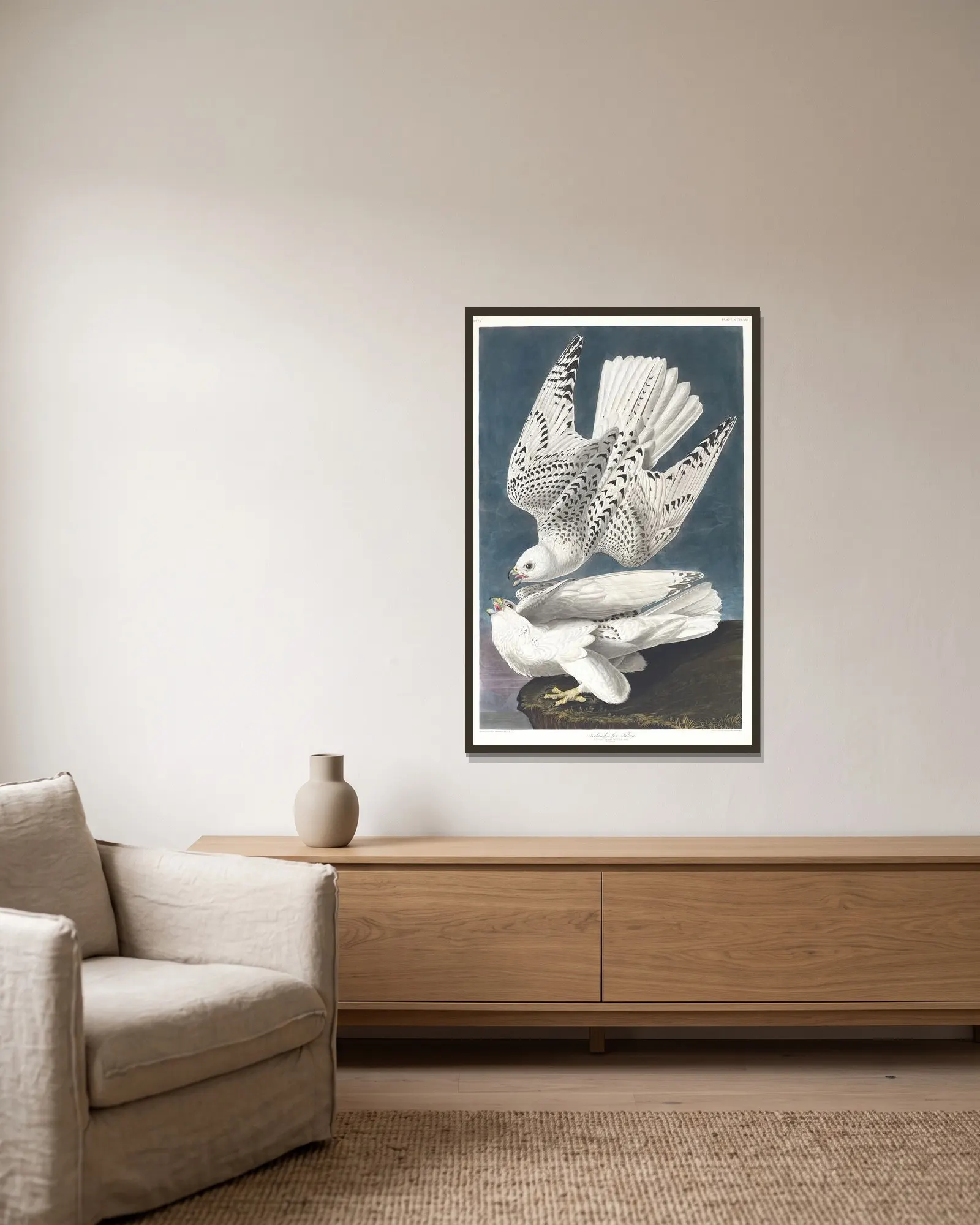Iceland or jer falcon av John James Audubon inramad på en vägg