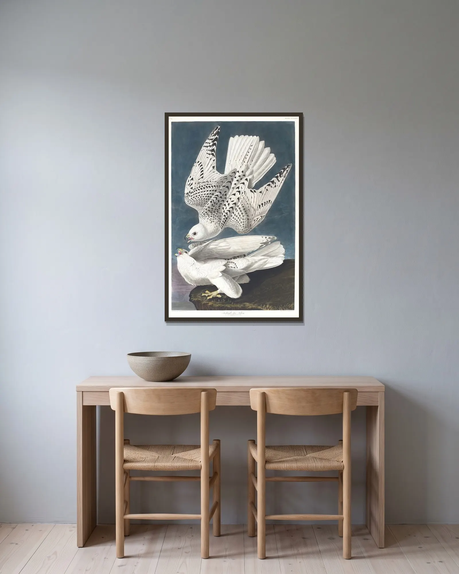 Iceland or jer falcon av John James Audubon inramad på en vägg
