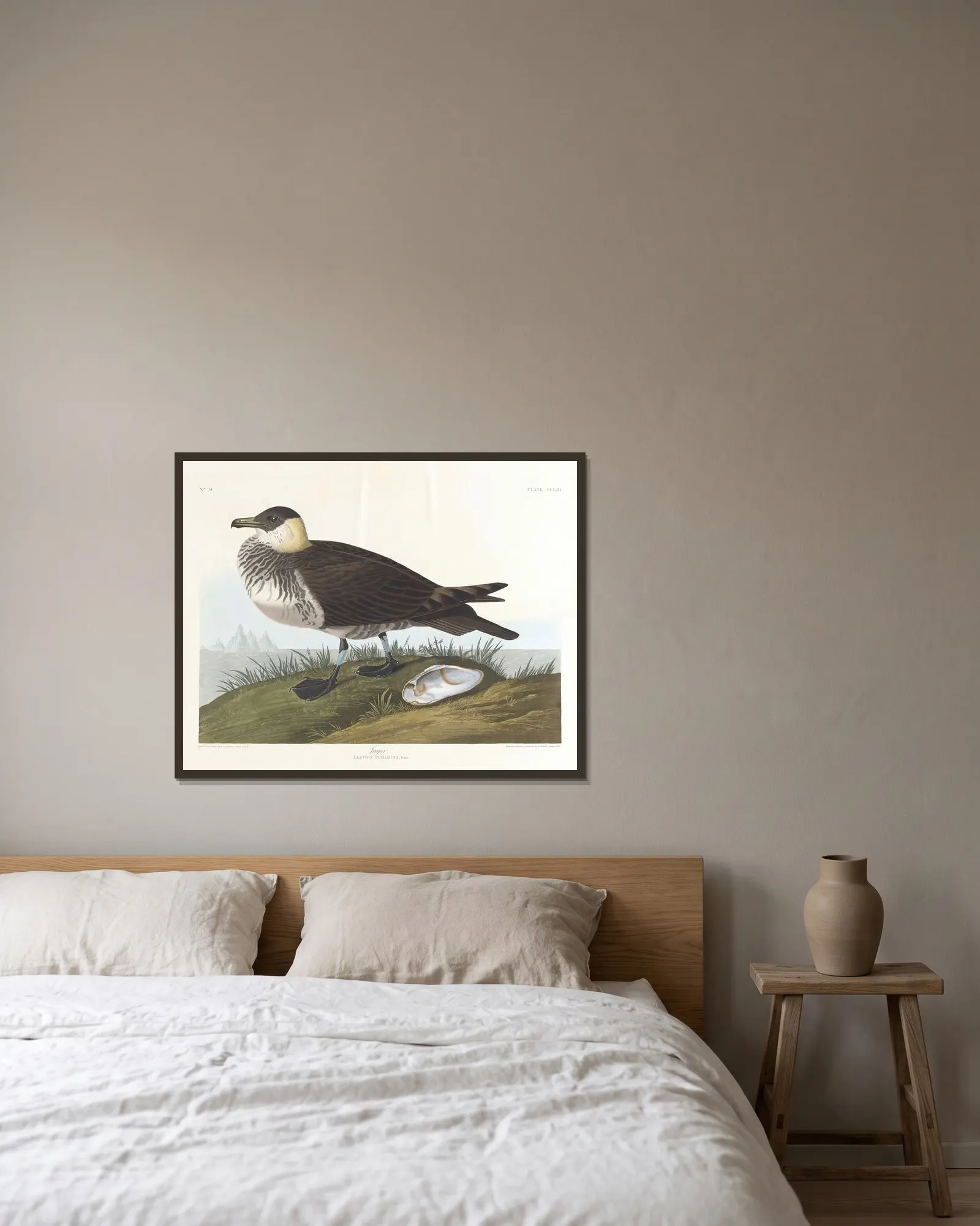 Jager av John James Audubon inramad på en vägg
