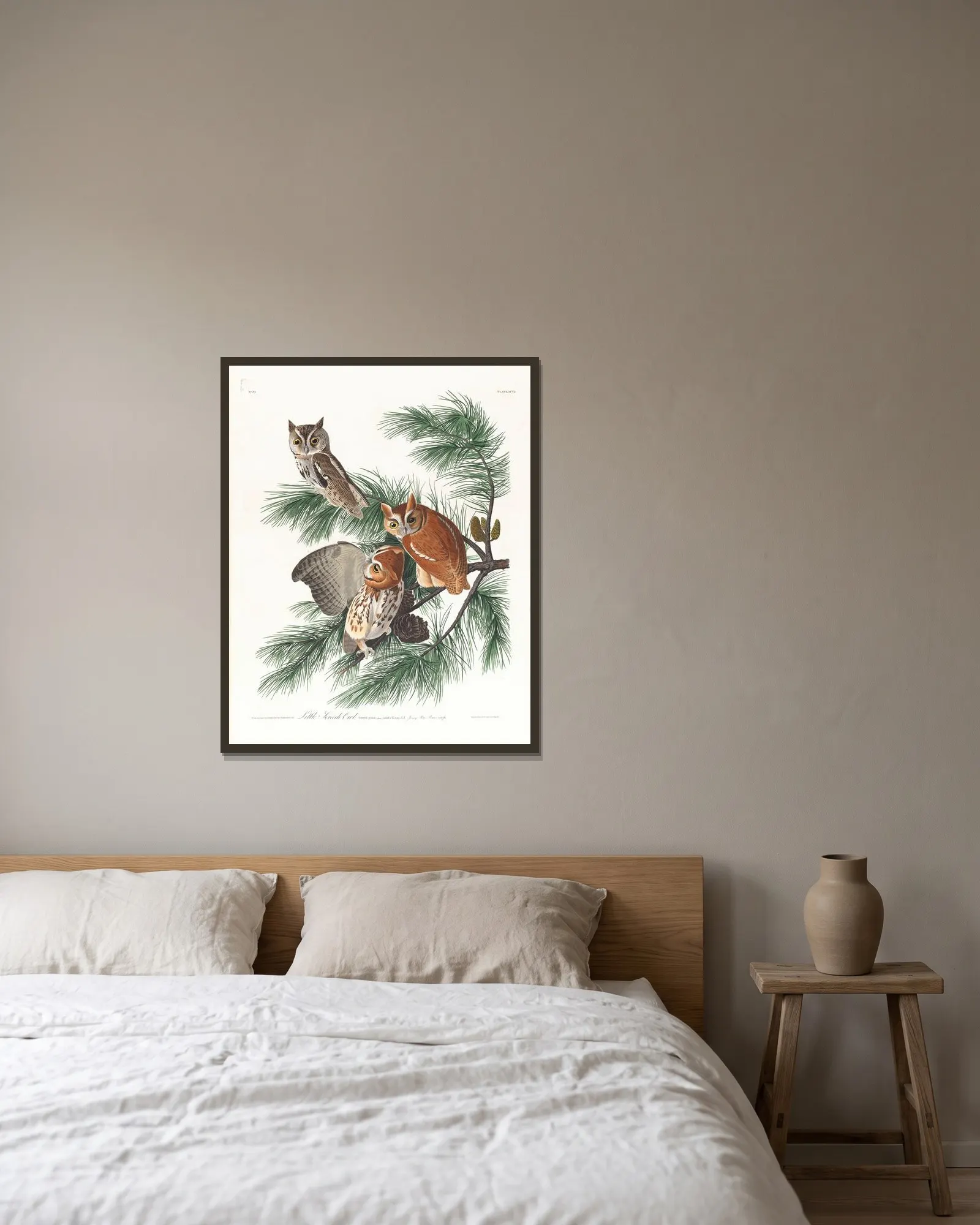 Little screech owl av John James Audubon inramad på en vägg