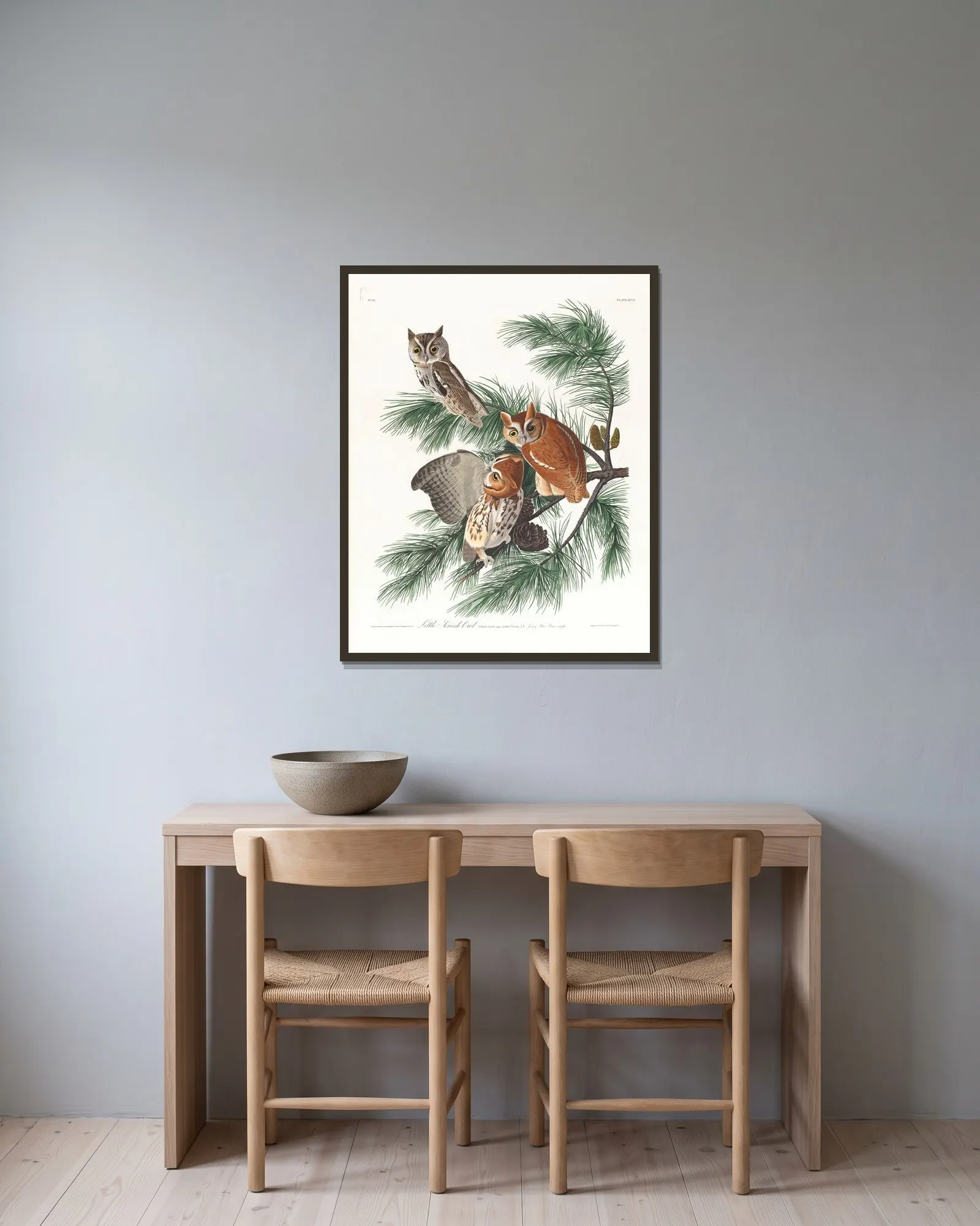 Little screech owl av John James Audubon inramad på en vägg