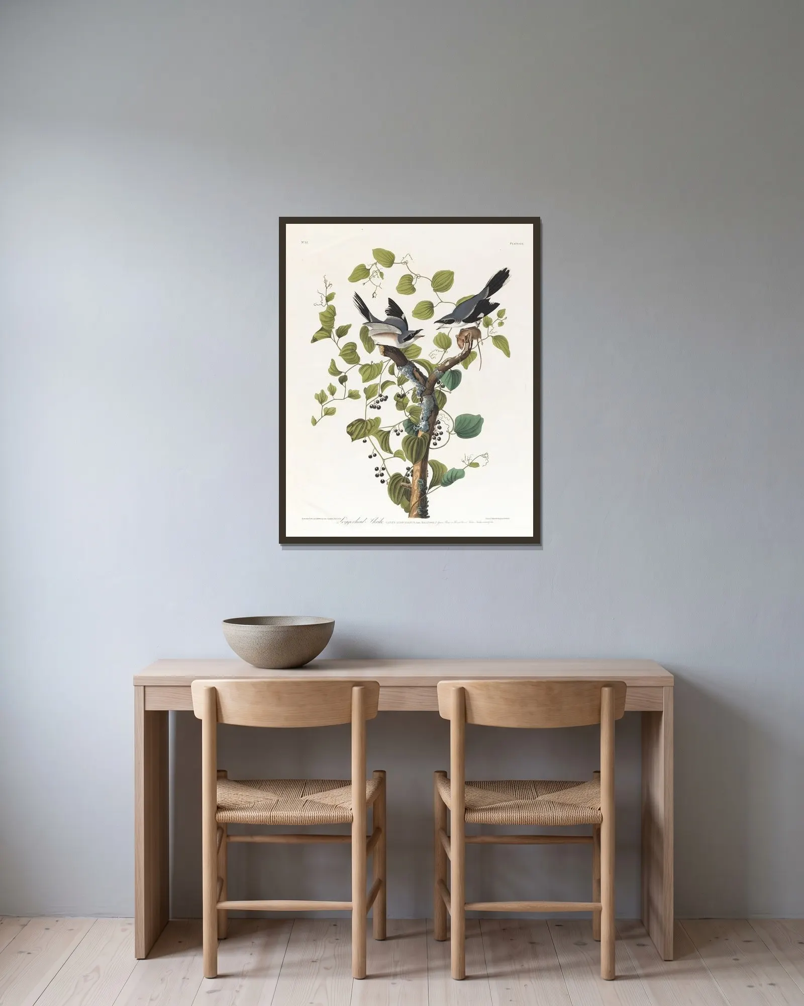 Loggerhead shrike av John James Audubon inramad på en vägg