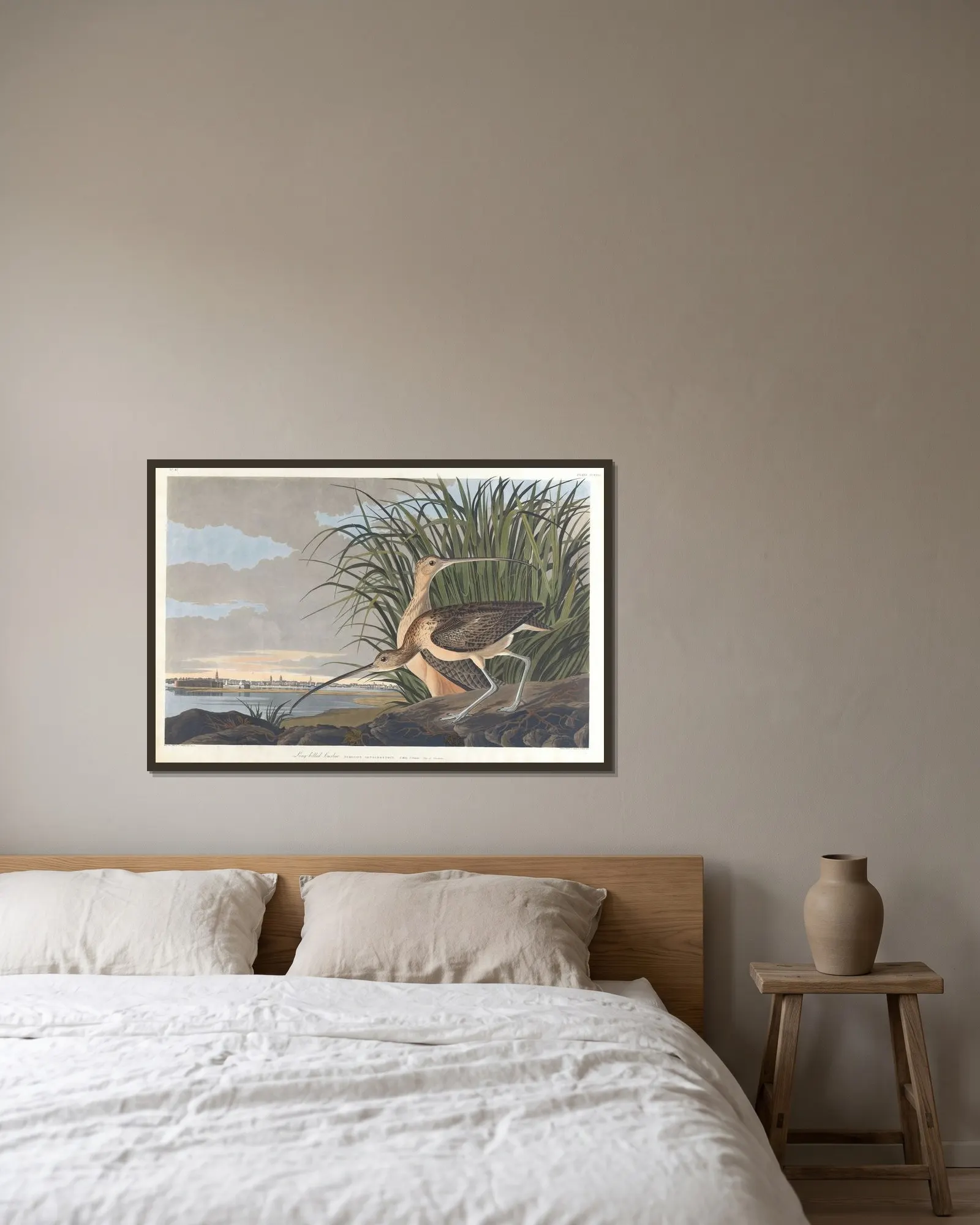 Long-billed curlew av John James Audubon inramad på en vägg