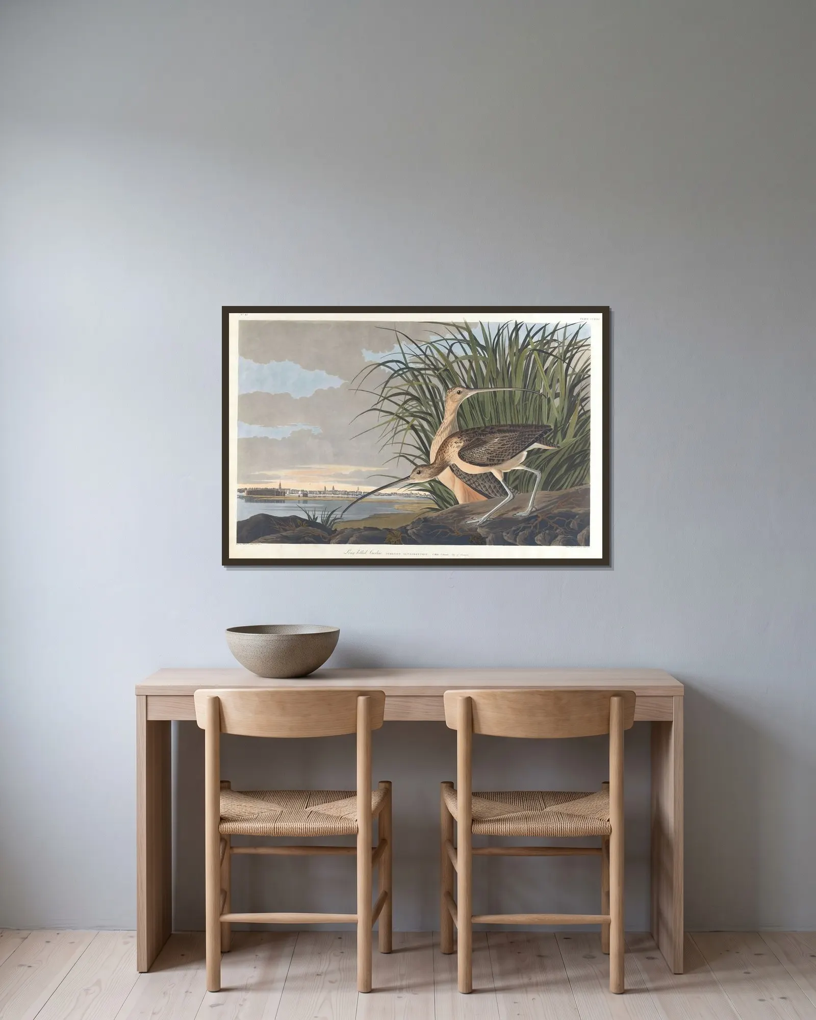 Long-billed curlew av John James Audubon inramad på en vägg