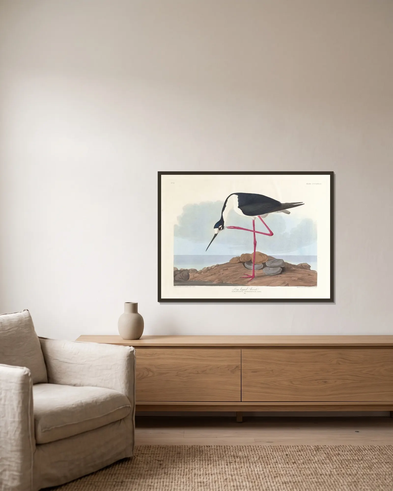 Long-legged avocet av John James Audubon inramad på en vägg