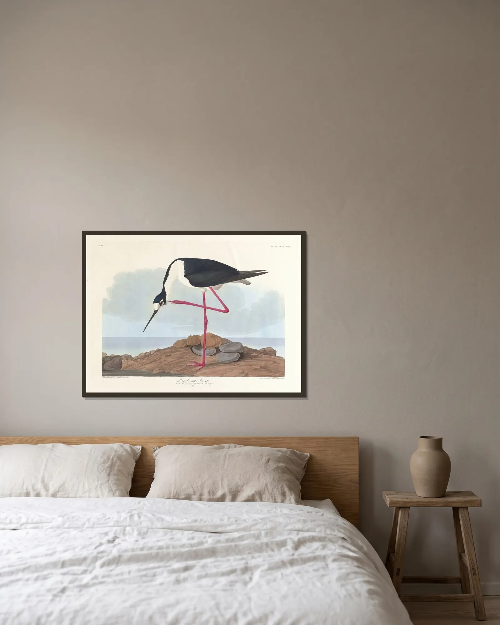Long-legged avocet av John James Audubon inramad på en vägg